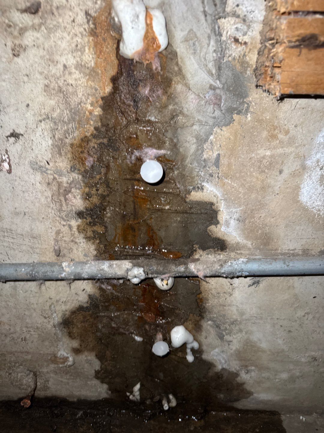 Mold Remediation Project by Chicagoland Water Medics