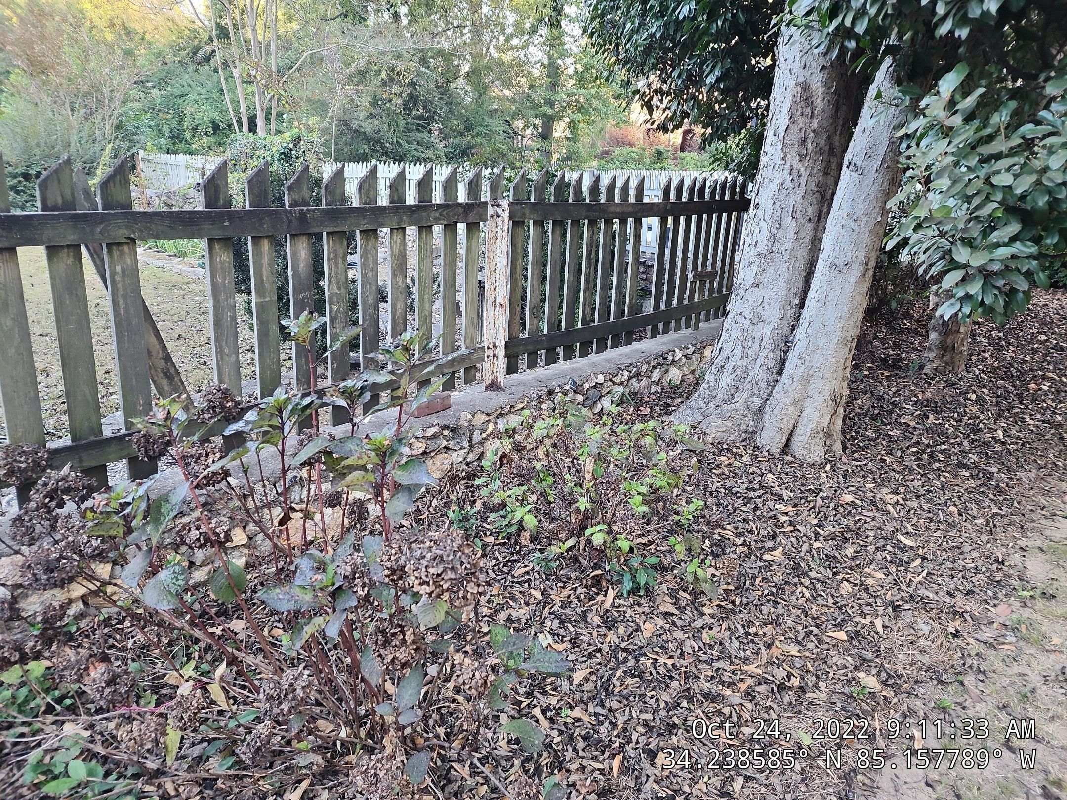 6' Wood Privacy with Dog Eared Pickets by Titans of Timber Fence & Stain