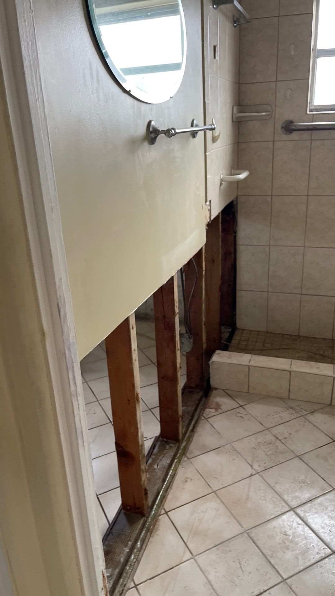 Mold Remediation  by THE RAPID TEAM