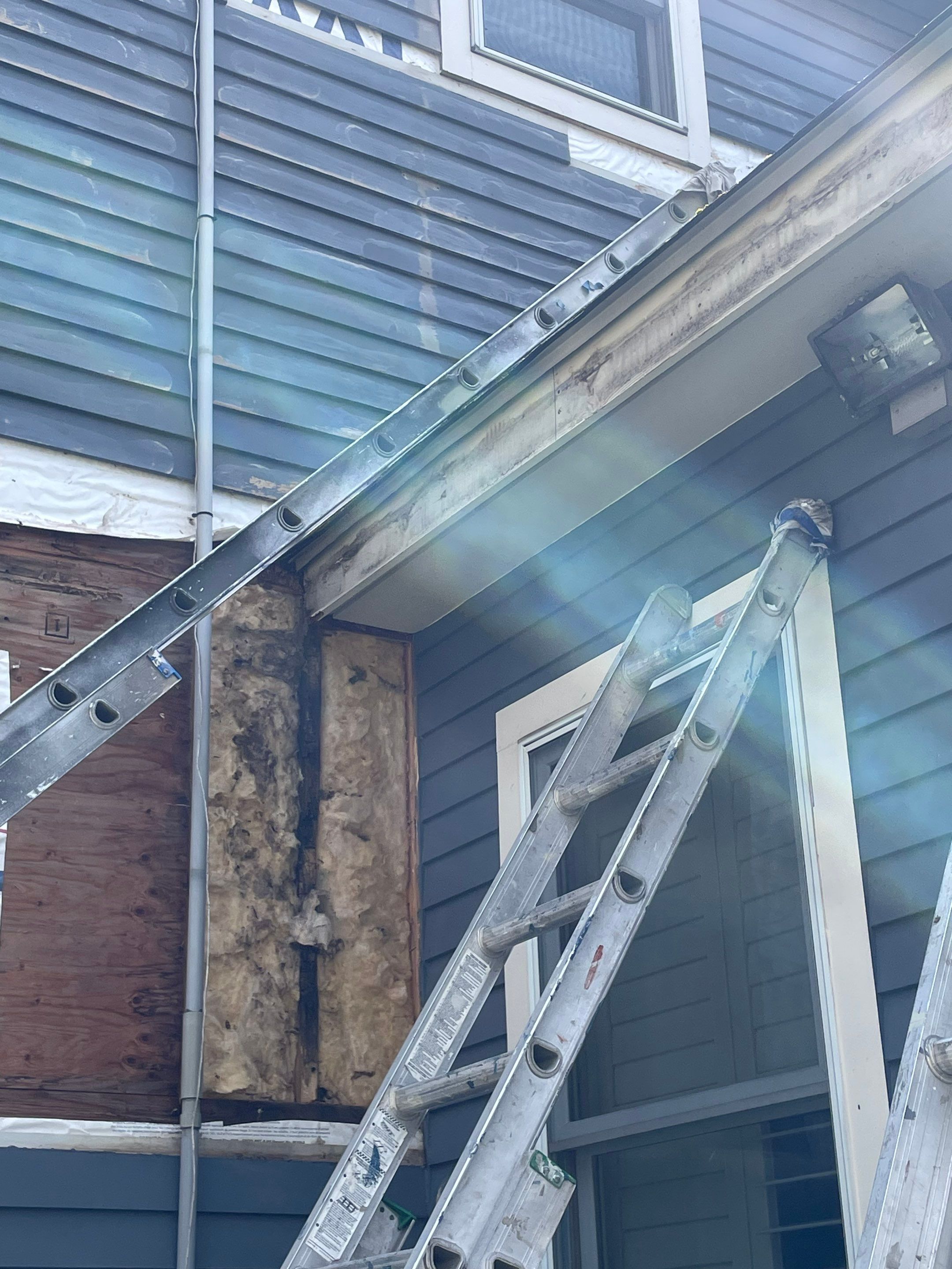 Exterior Painting & Carpentry Repairs by EXCELLENCE | CARTO