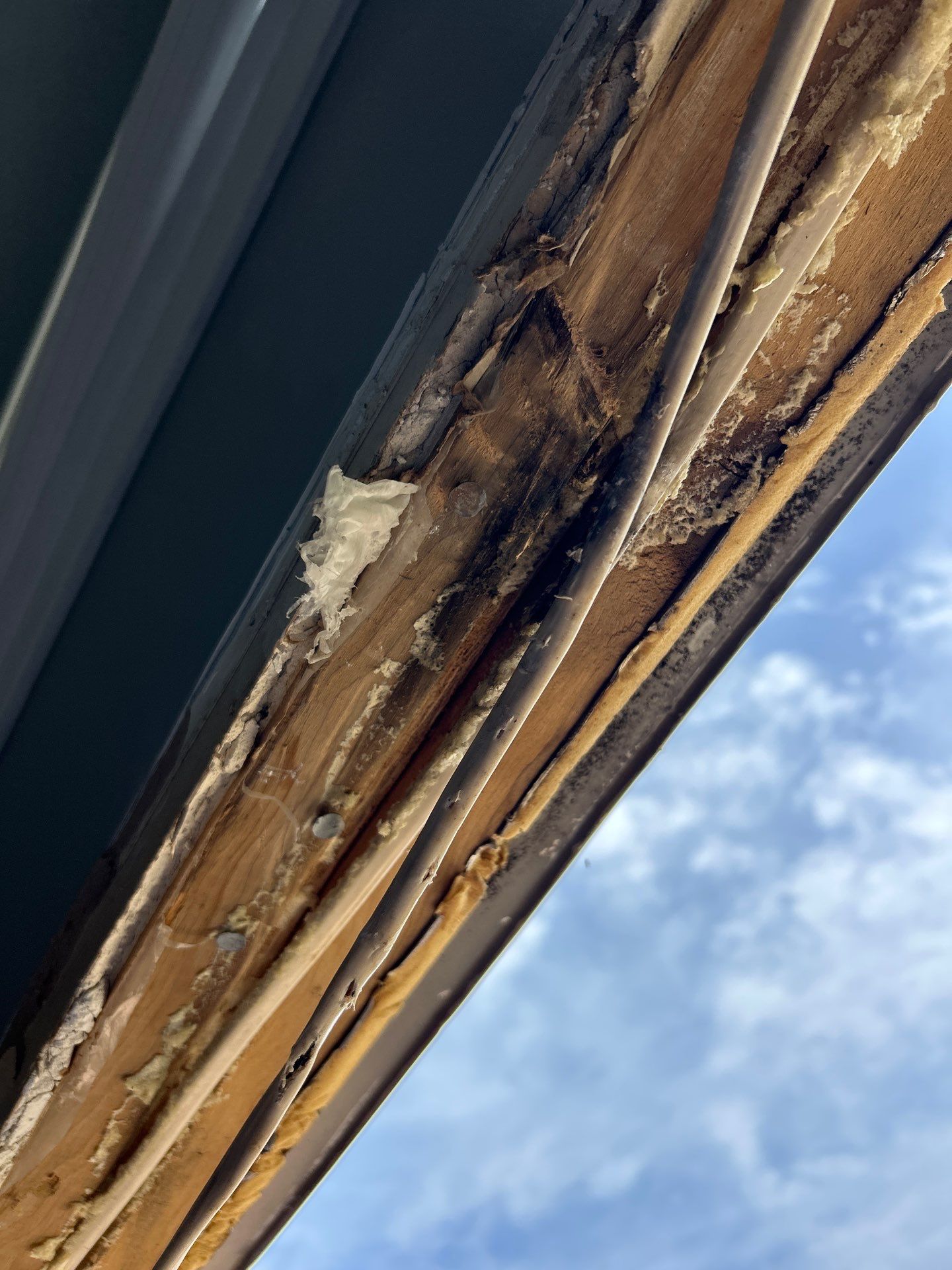 Entry Door and Patio Door Replacement With Structural Rot Repair by Merrifield Exteriors, LLC
