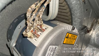 Air Duct Cleaning in Apopka