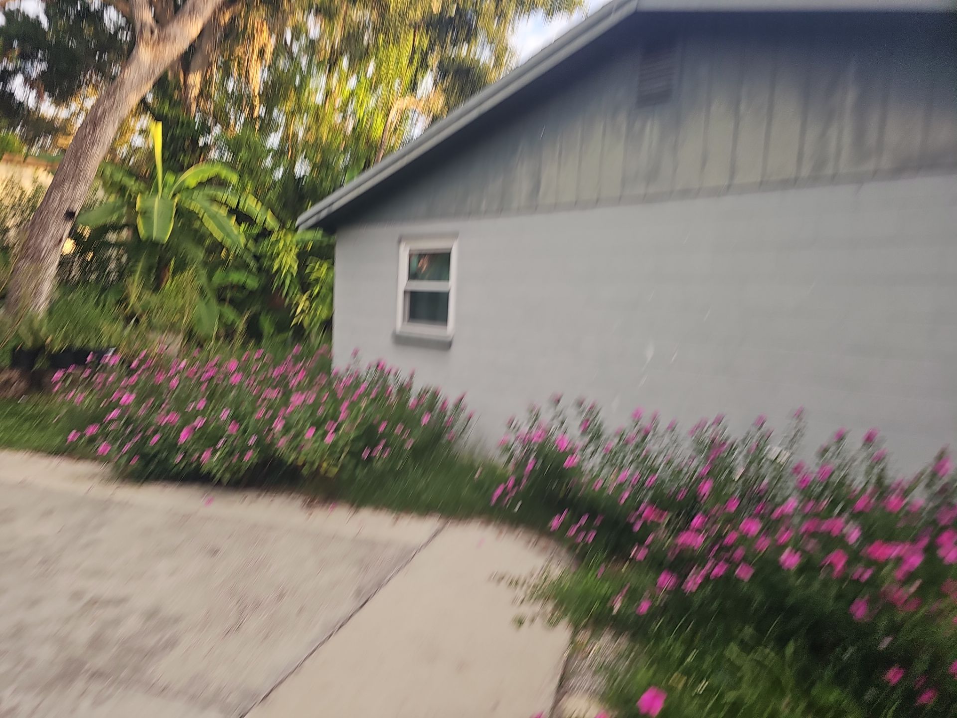Project in Clearwater 33760 by Mitchell Roofing Company LLC 