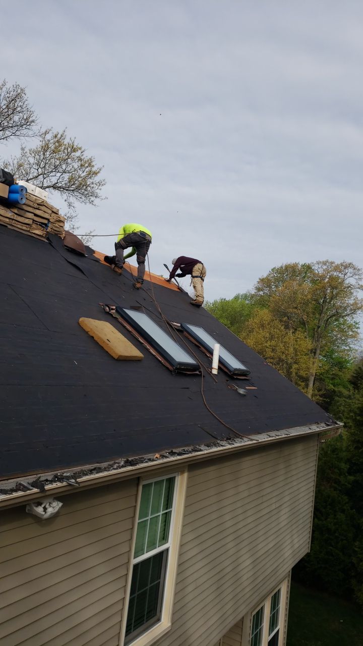 Springfield Certainteed Landmark Pro Designer Shingles by RM Banning, Inc.