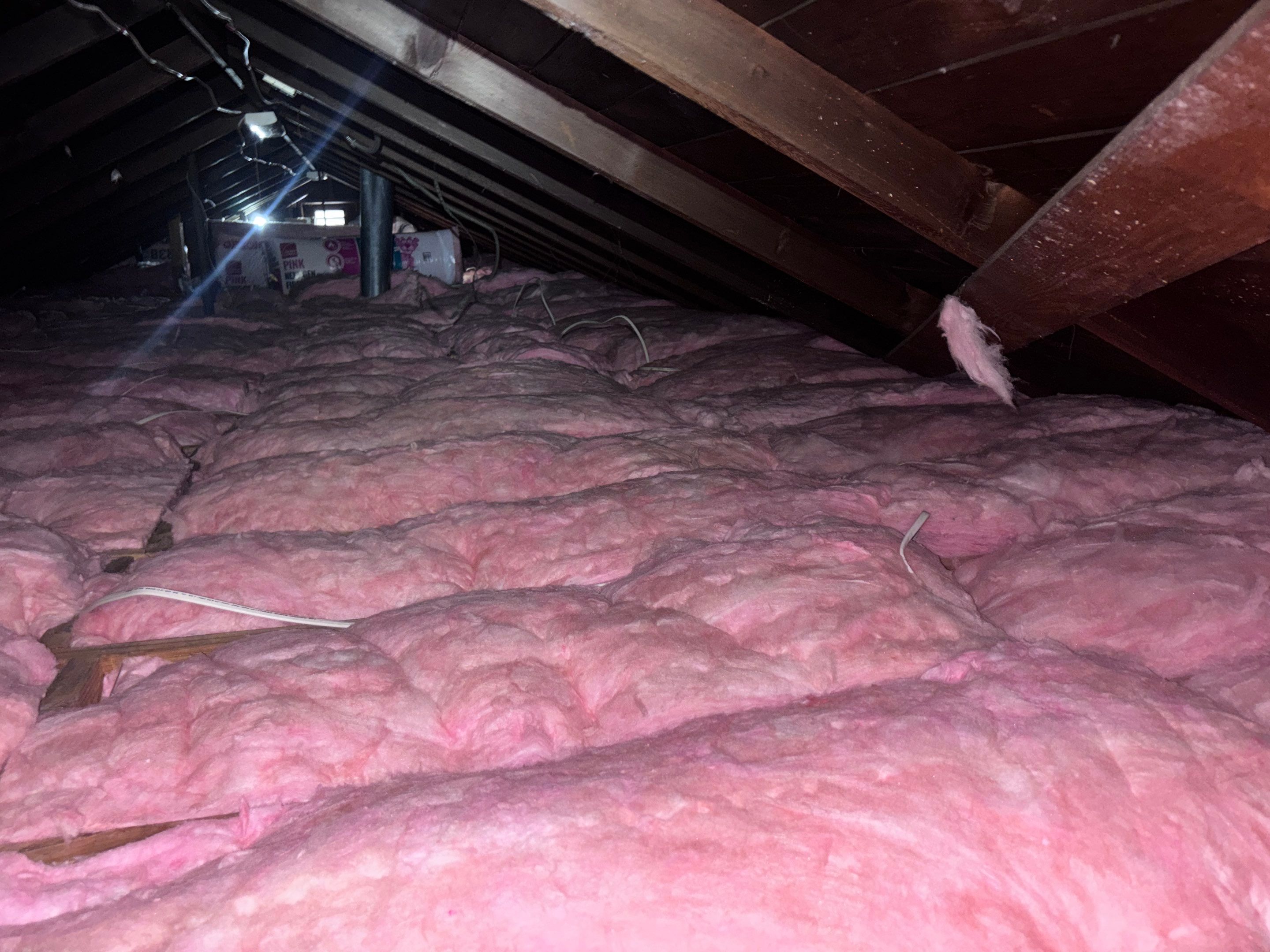 Project in North Hollywood by Insulation Labs