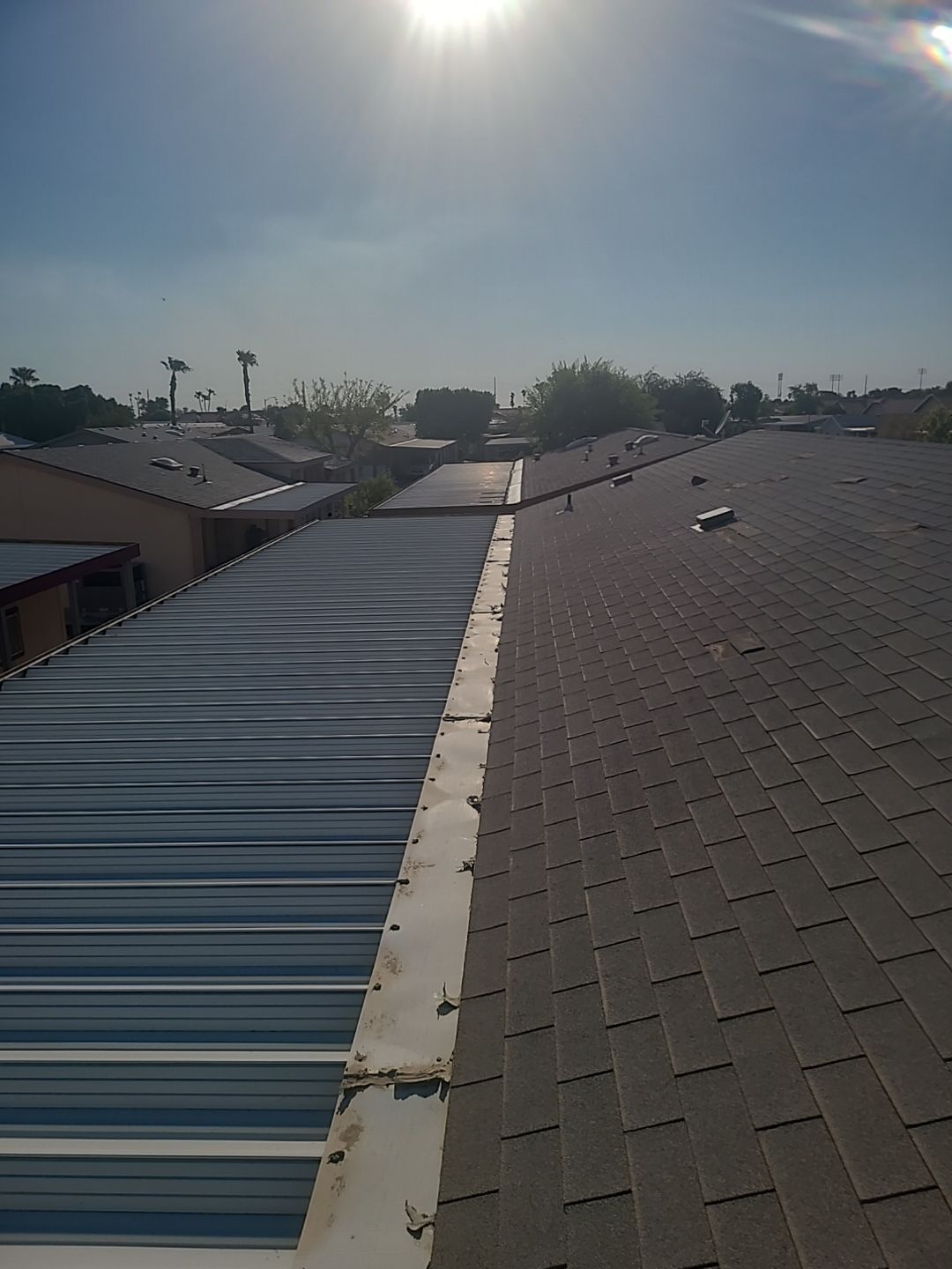 Silver Birch Shingles by Reimagine Roofing