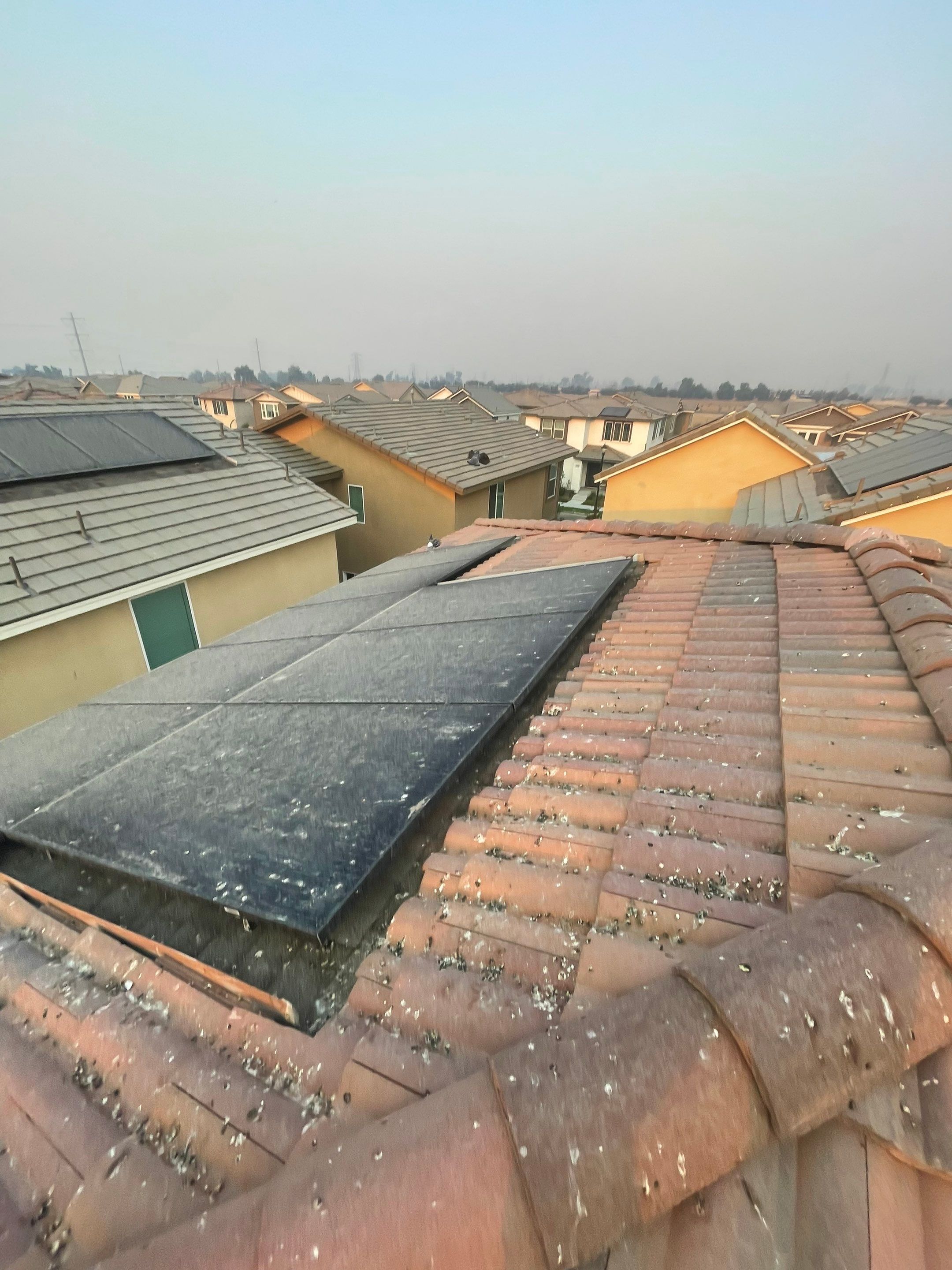 Solar Panel Bird Proofing in Ontario Ca by Palm Coast Solar Cleaning