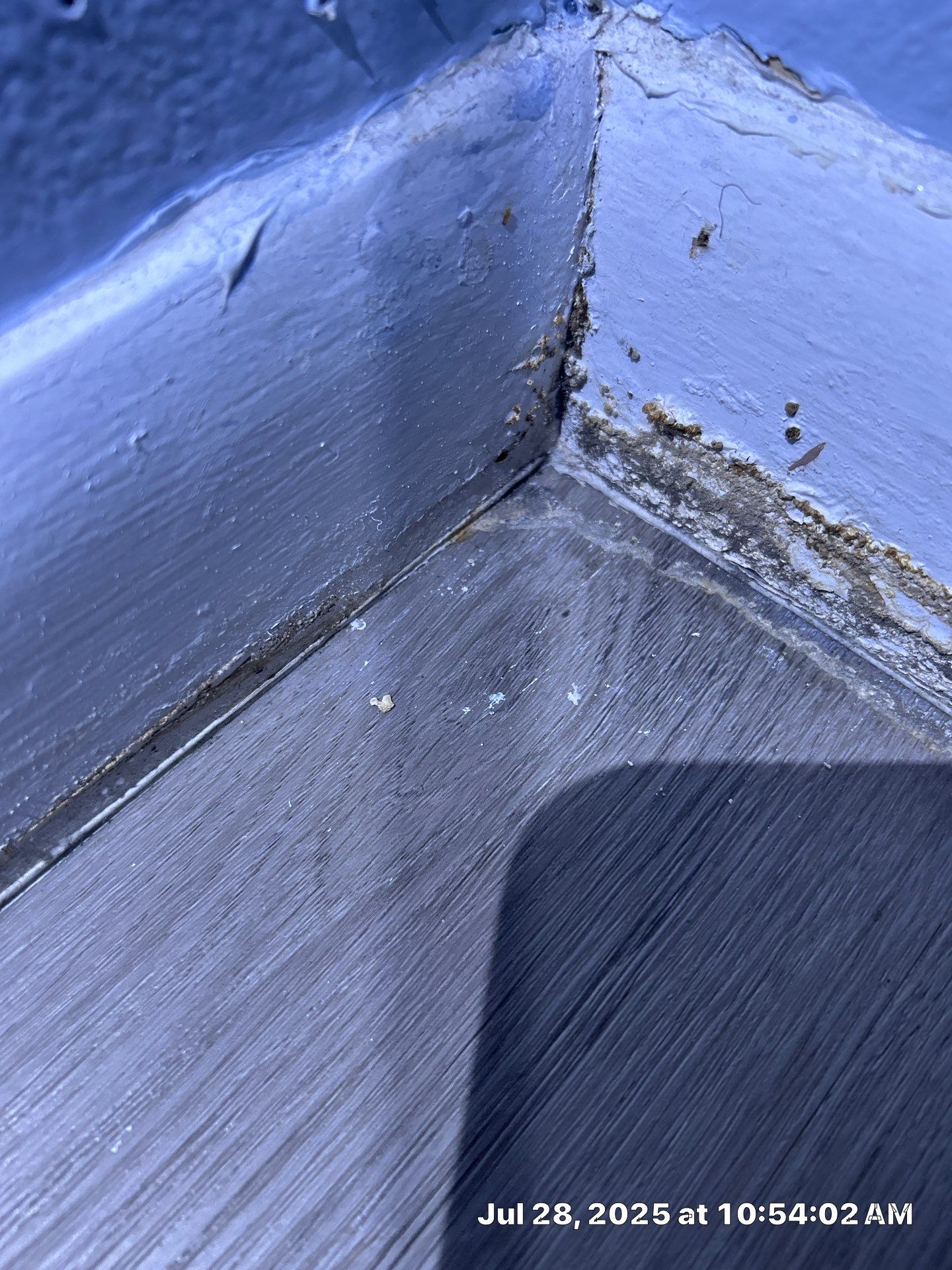 Mold Restoration In Bradenton by Ampm Restoration Services