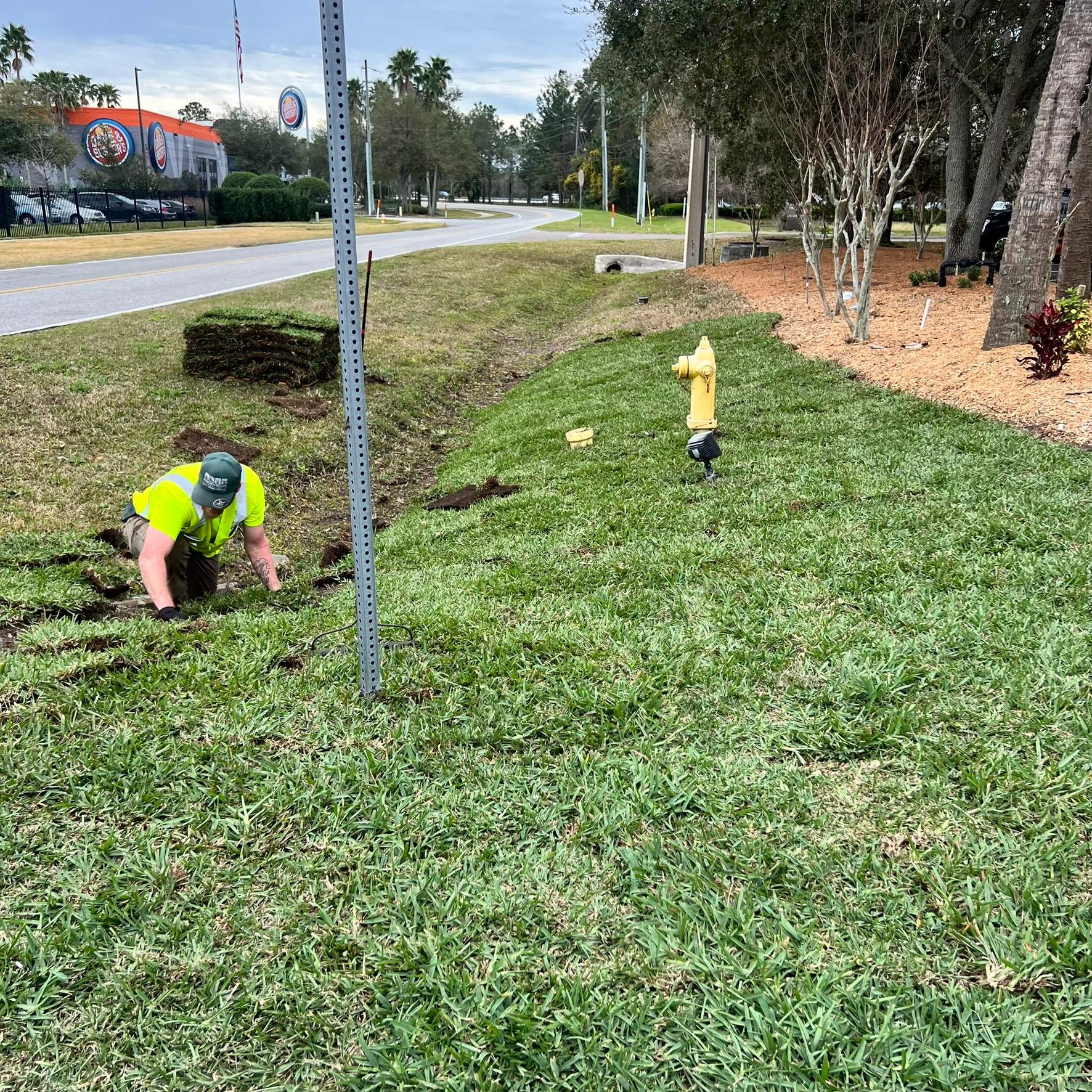 Landscape Install | Marriott Hotel by ProGreen Services