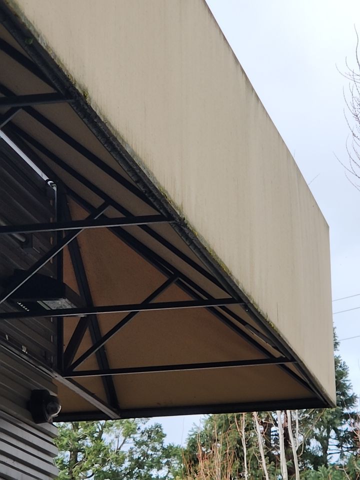 Soft Wash using Soft wash solution by Willamette Outdoor Wash LLC