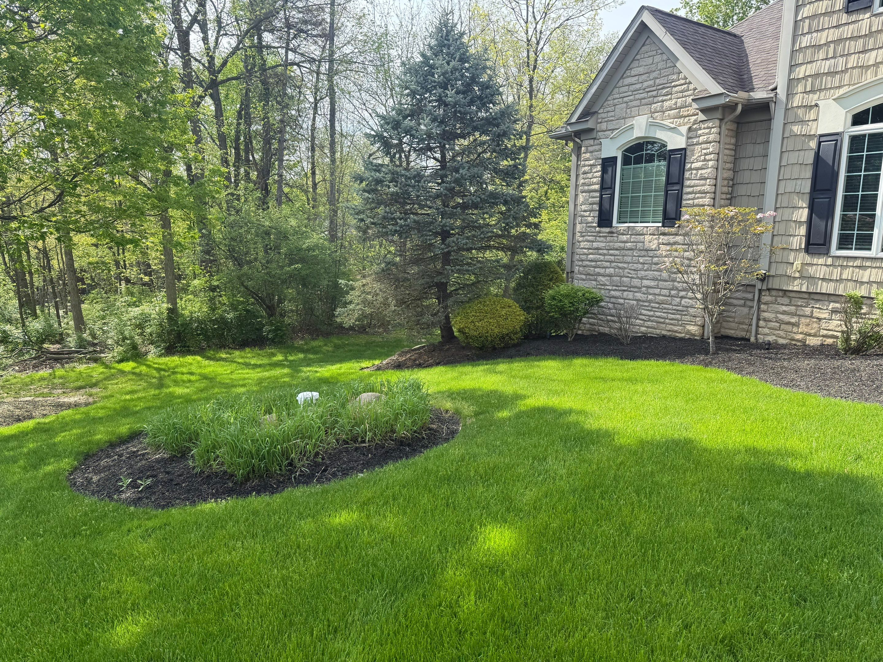 Acreage Maintenance Project by Elm Rose Gardens