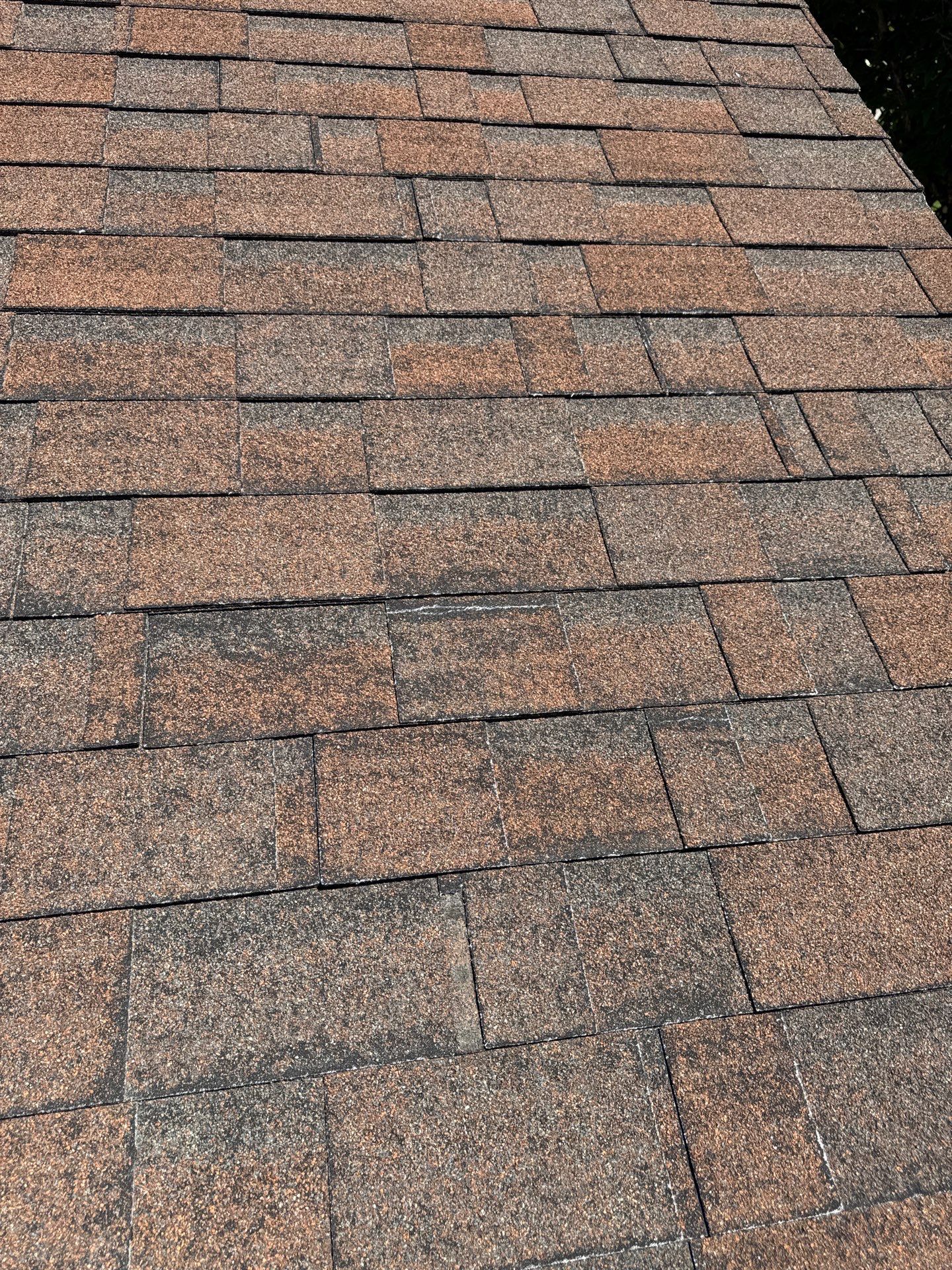 Boise Commercial Roof Replacement with Brown Architectural Shingles by Olive Roofing