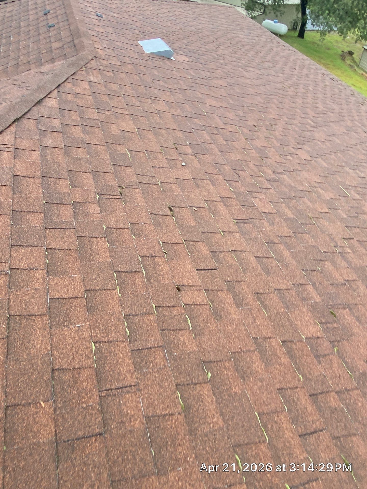 Roof Rejuvenation using Roof Maxx Treatment by Roof Maxx of Folsom