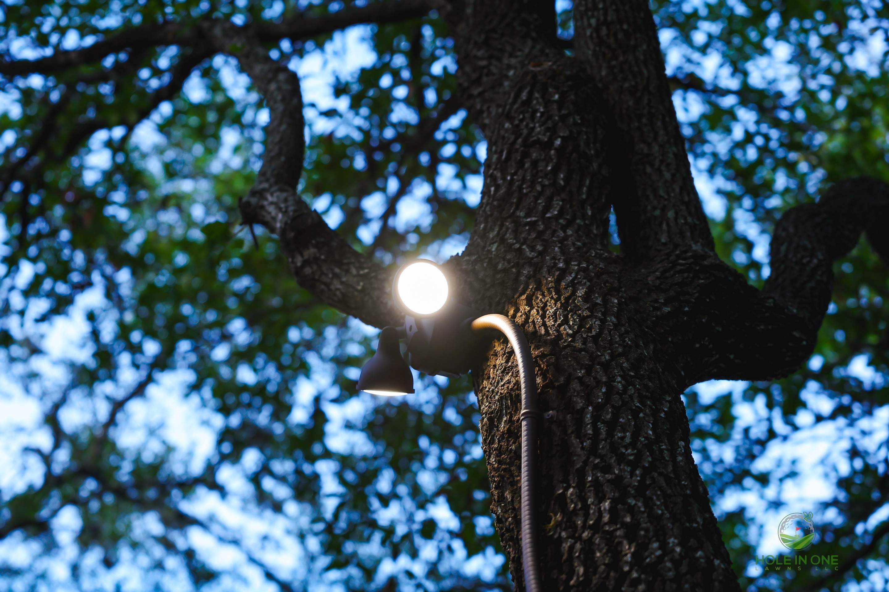 Henderson Pass, San Antonio Tx. by Hole In One Lawns, LLC