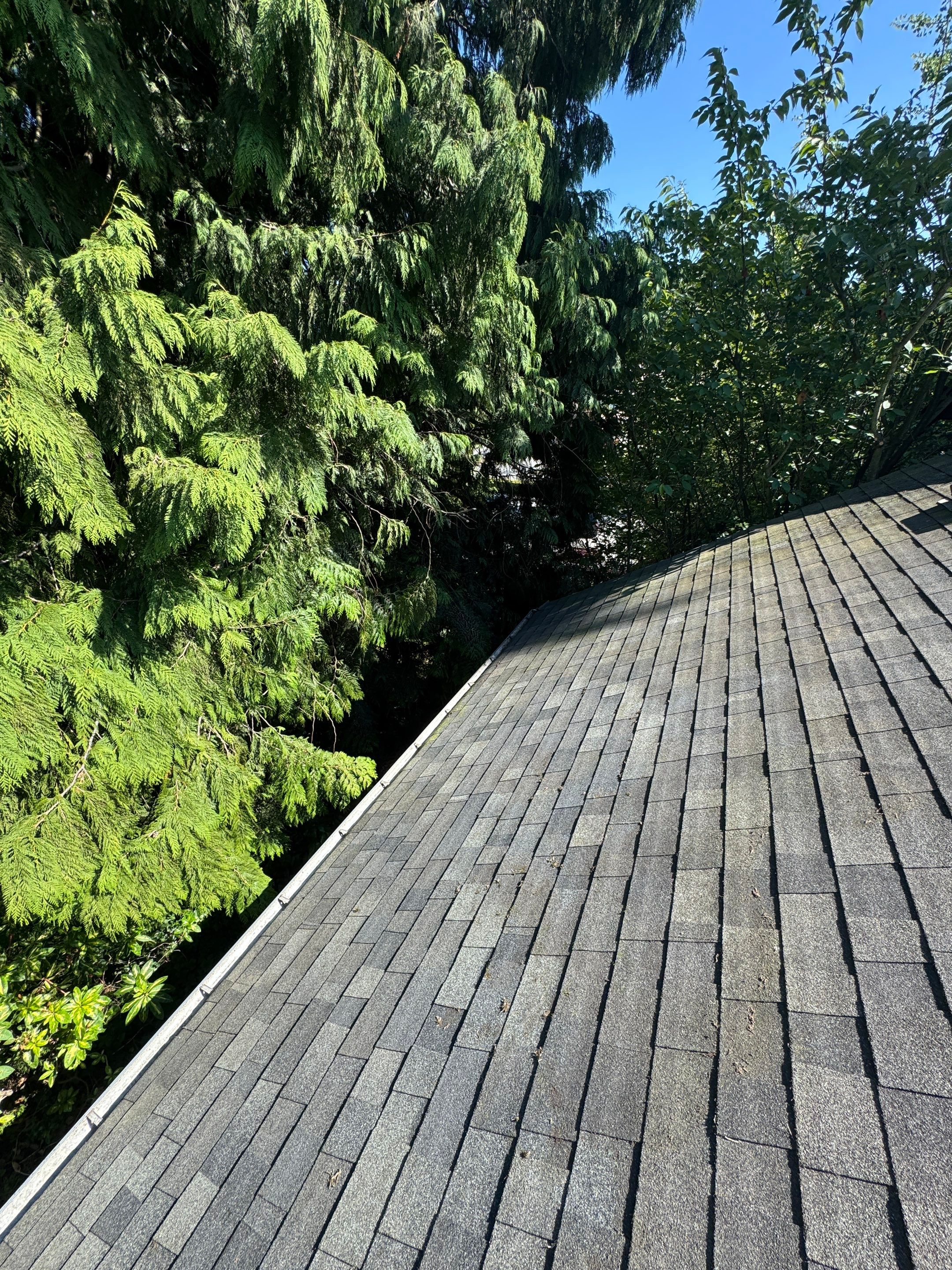 Gutter Cleaning in West Vancouver by YVR Construction Group