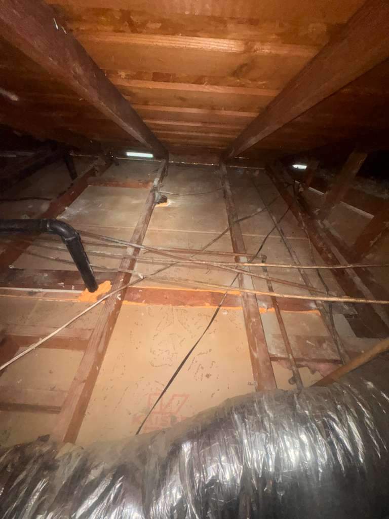 Project in Newport Beach by Advanced Attic Solutions