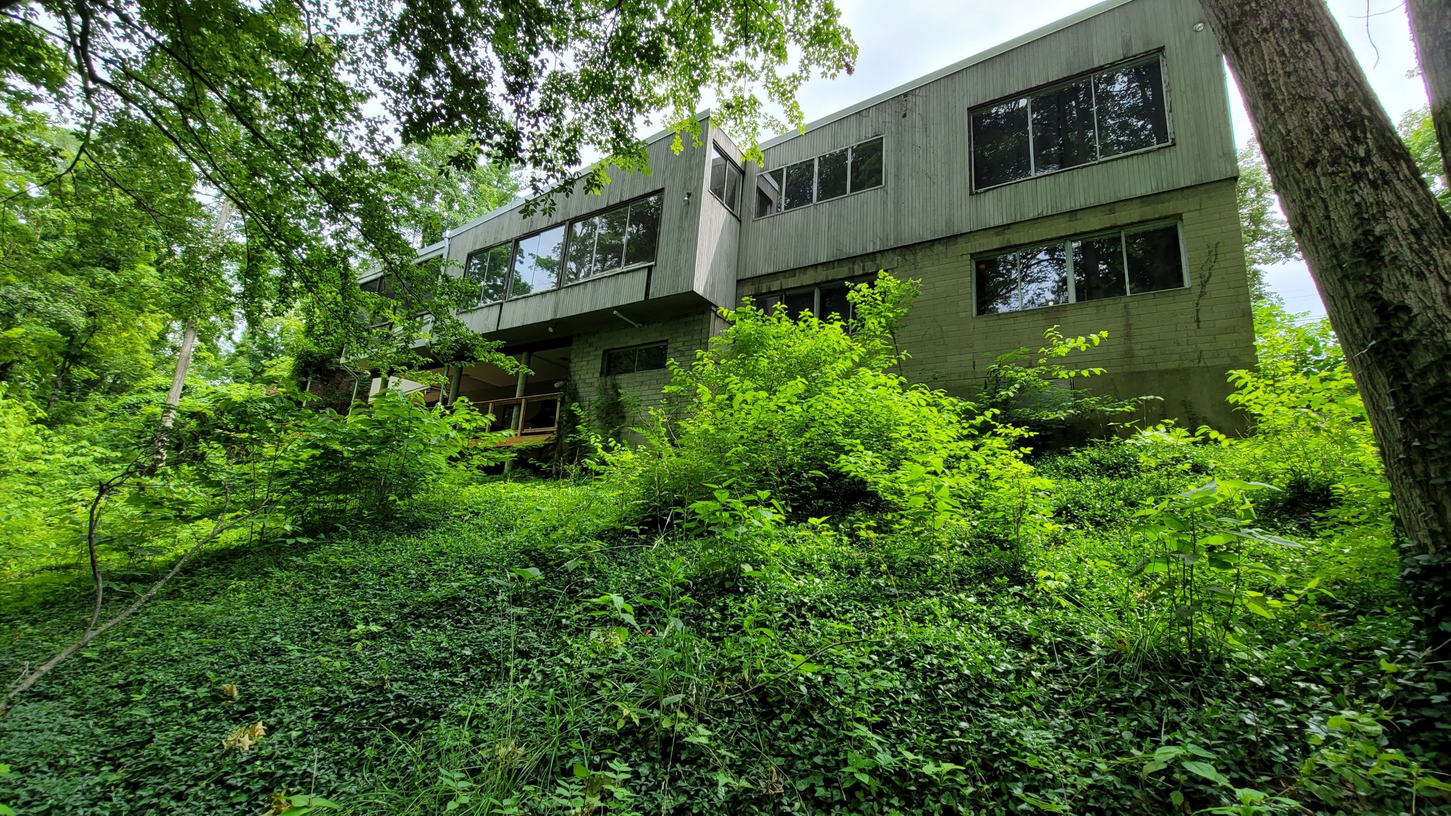 Land Clearing Behind House and Deck by Reisenberg’s Lawn & Landscape, LLC