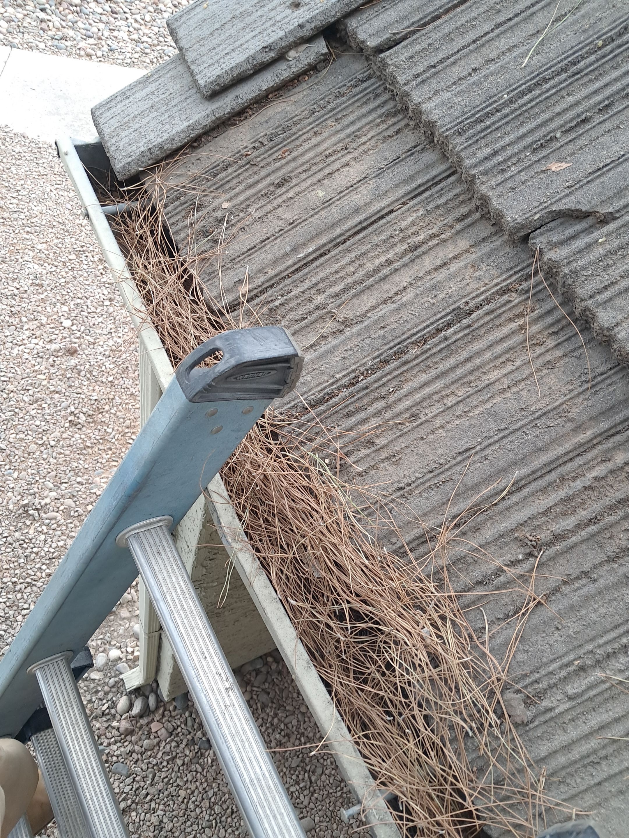 Commercial gutter cleaning Mesa & Gilbert & Chandler, AZ before photo with filled gutters