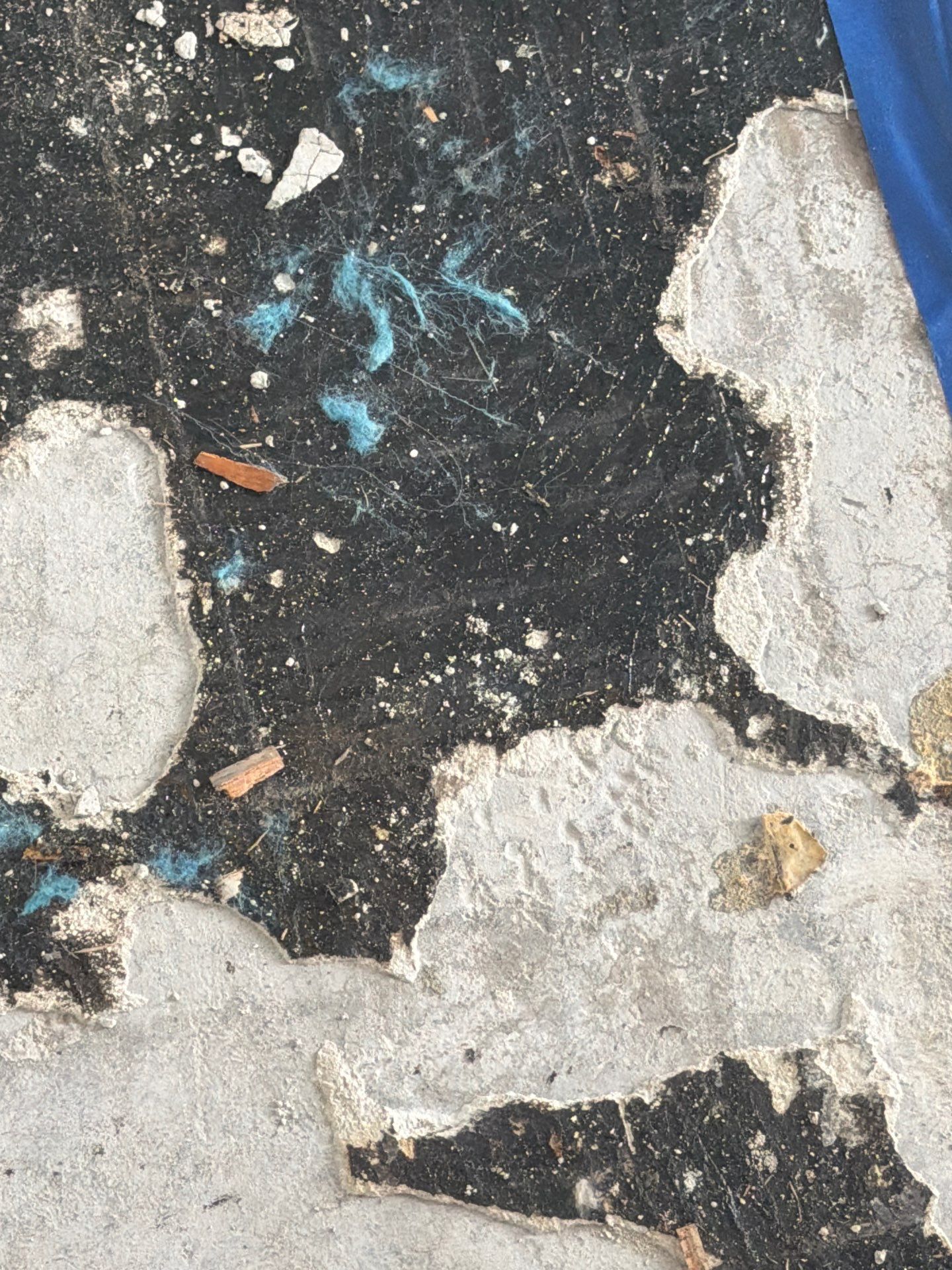 Water Damage Claim in New York by FLAPA & KeyStone