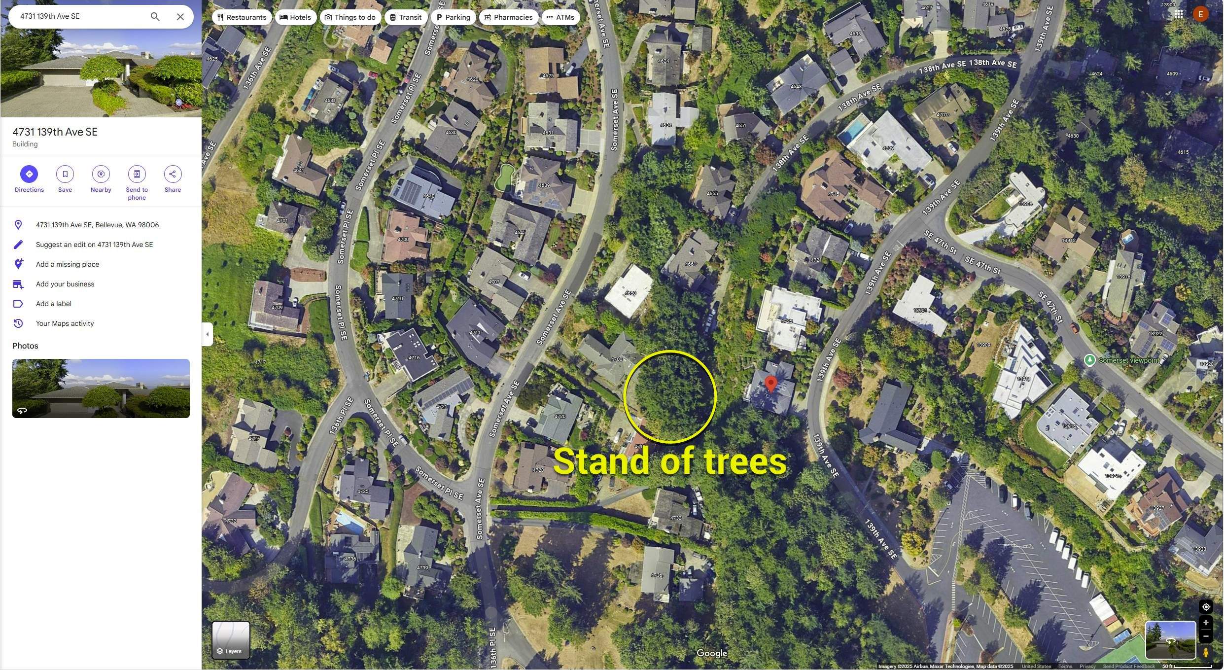 Bellevue Arborist Letter by Sound Tree Care LLC