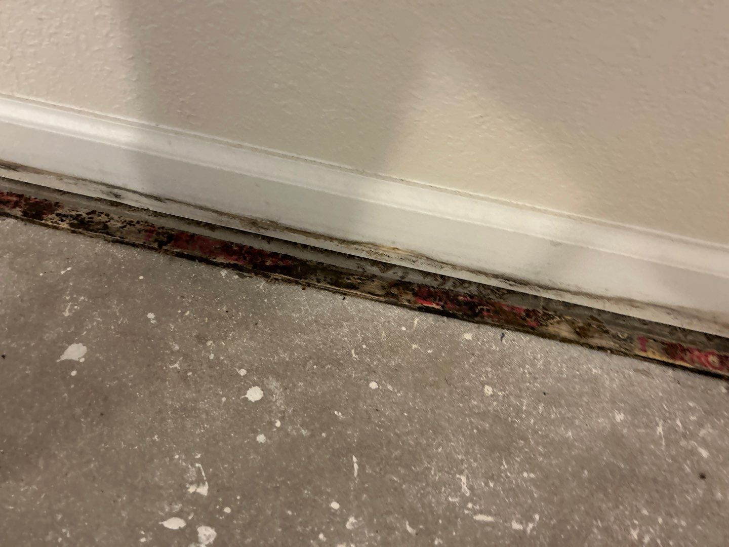 Mold Damage Project in Thornton by Accountable Home Services