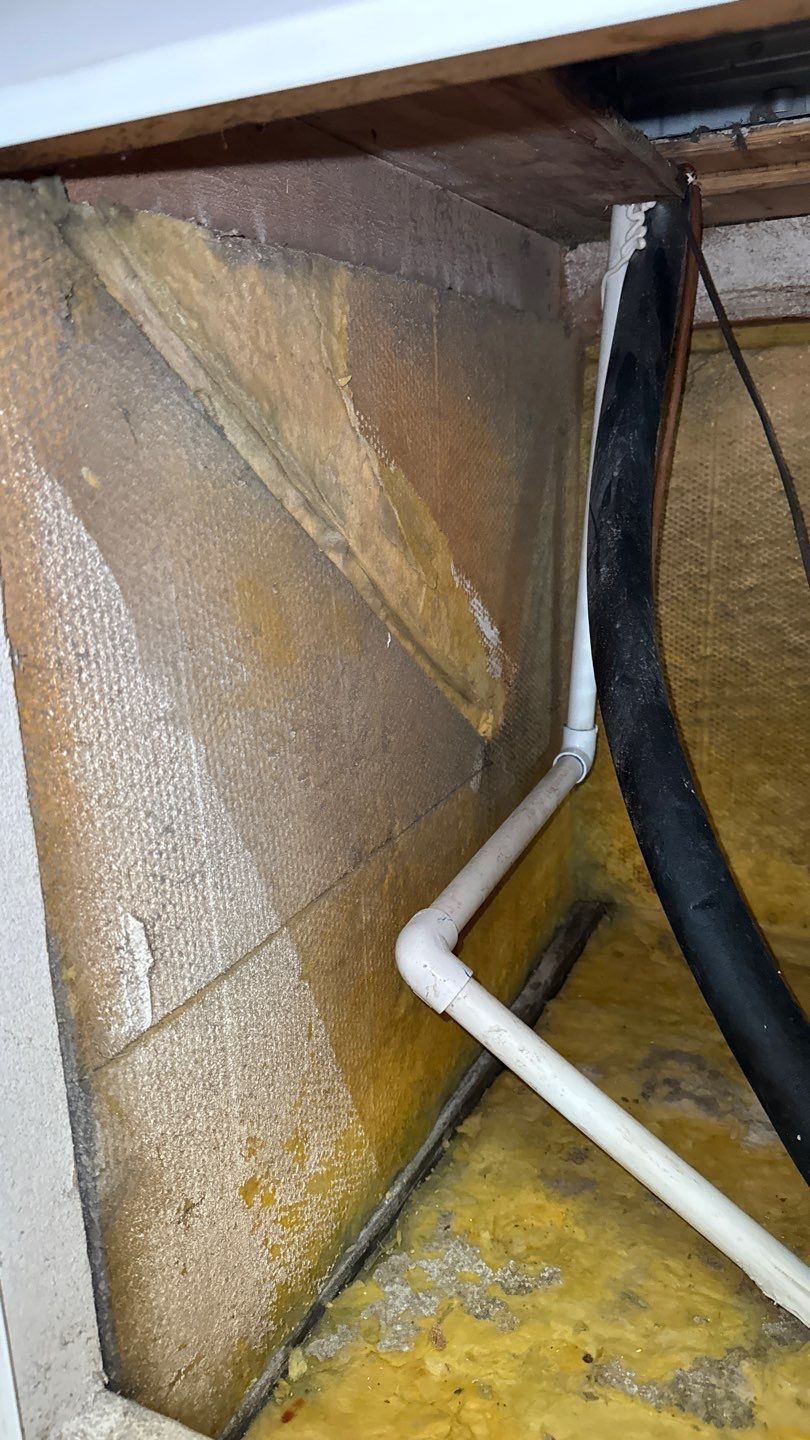 Air Duct Cleaning in Tavares by Hygienic Air, Inc