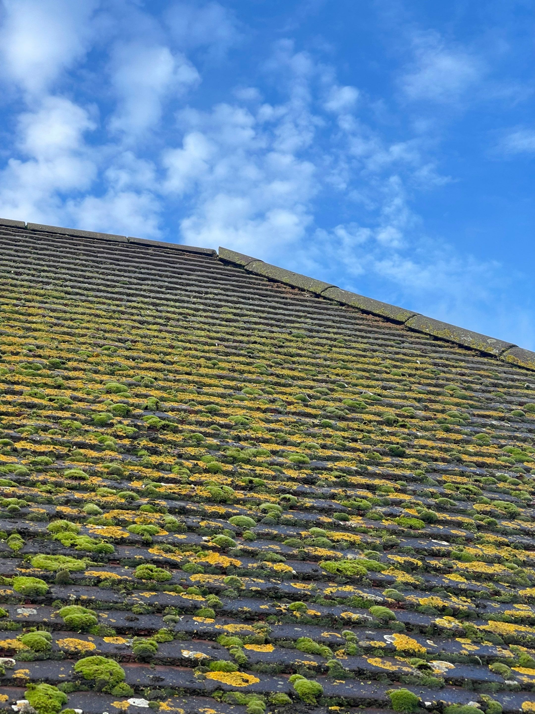 Roof Clean - Biocide Treatment using Mosmatic FSC and Biocide by Ges Exterior Cleaning ltd