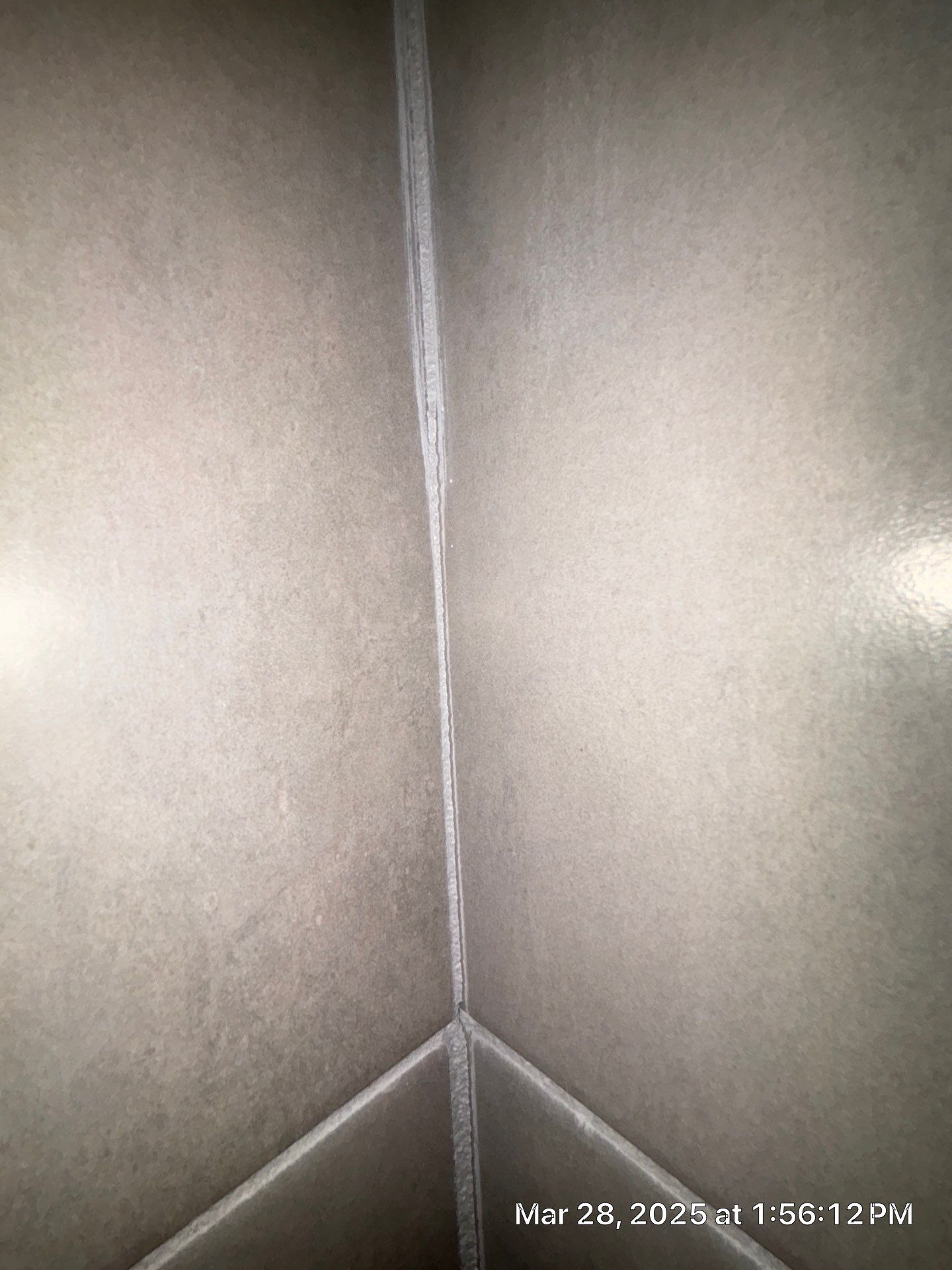Mold Remediation In Palmetto by Ampm Restoration Services 