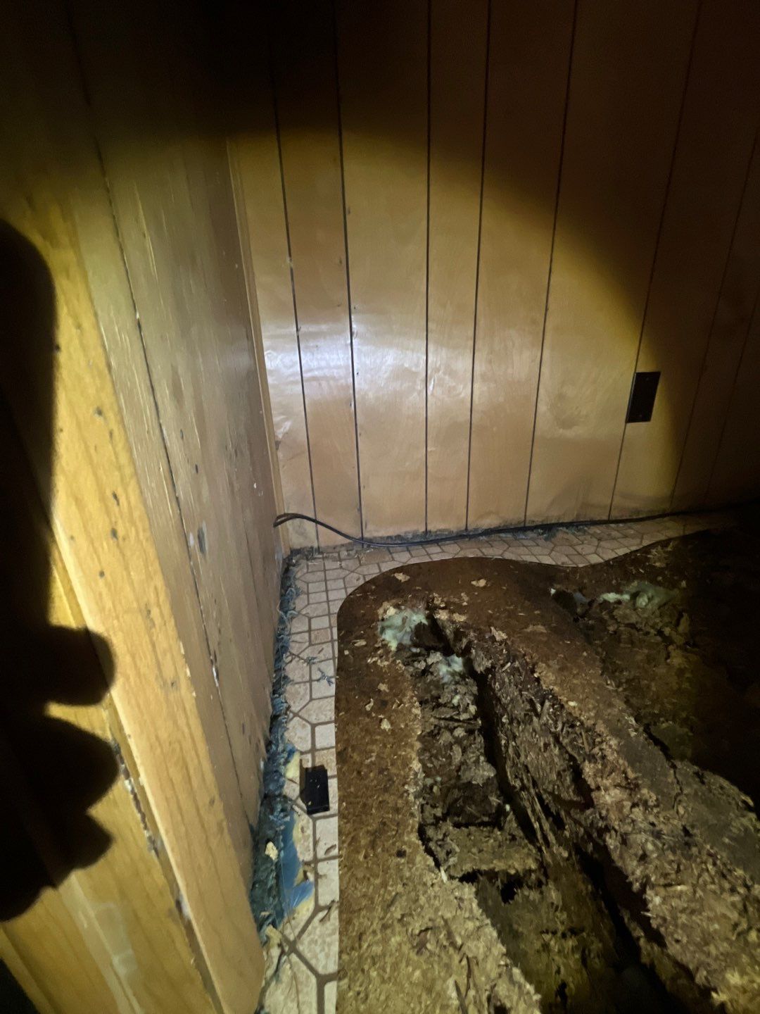 Water Damage in Trailer by Chicagoland Water Medics