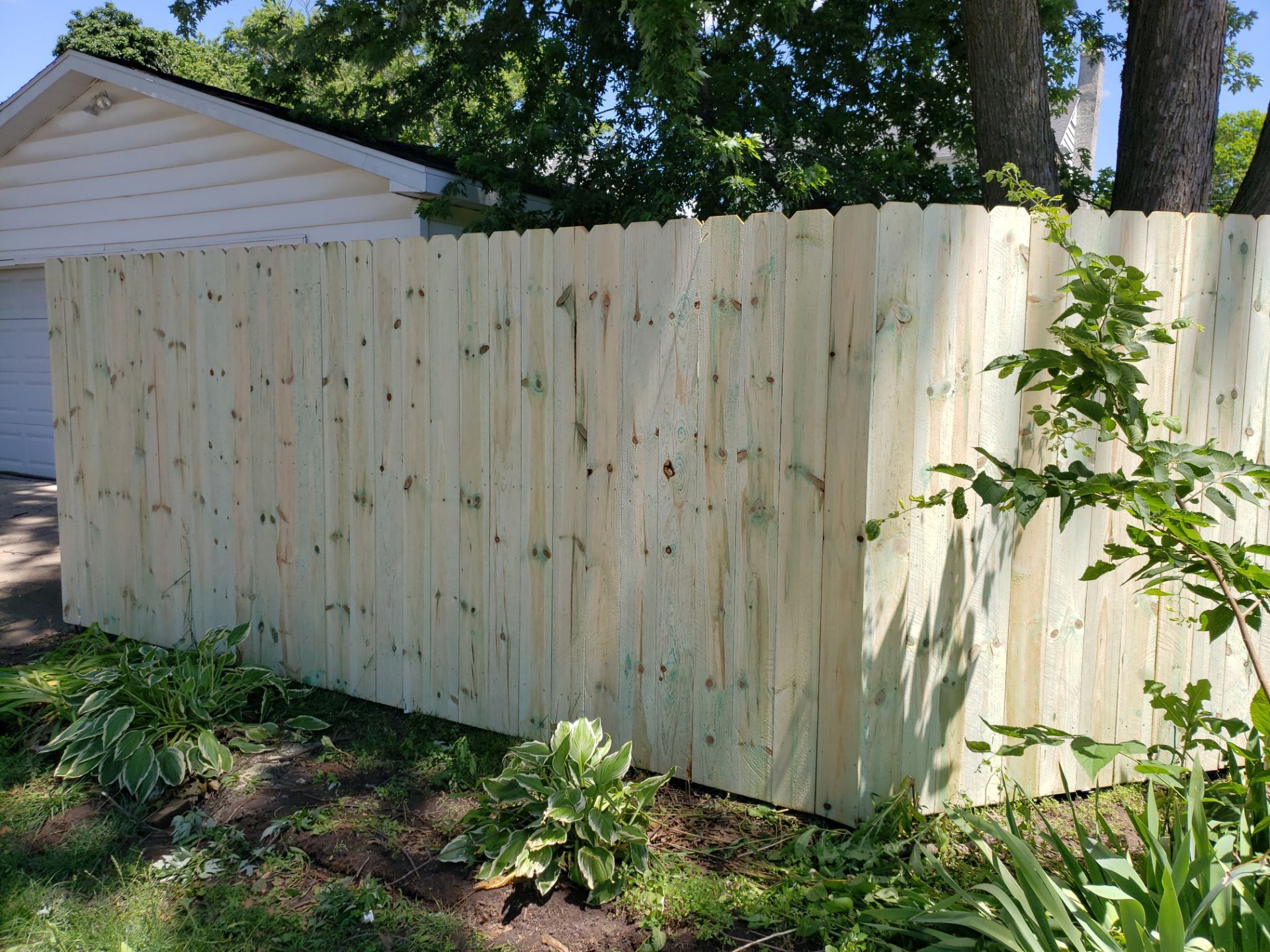 Pressure-Treated Pine Privacy Fence Replacement in Waterloo, Iowa by Perfect Picket Fence and Stain