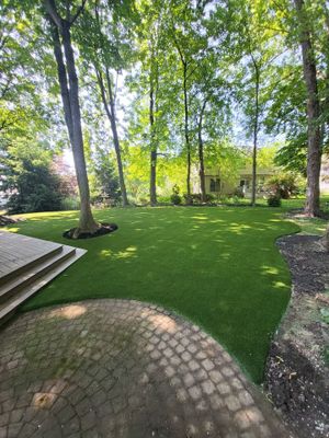Full Backyard - Pet Lawn in Stow, OH