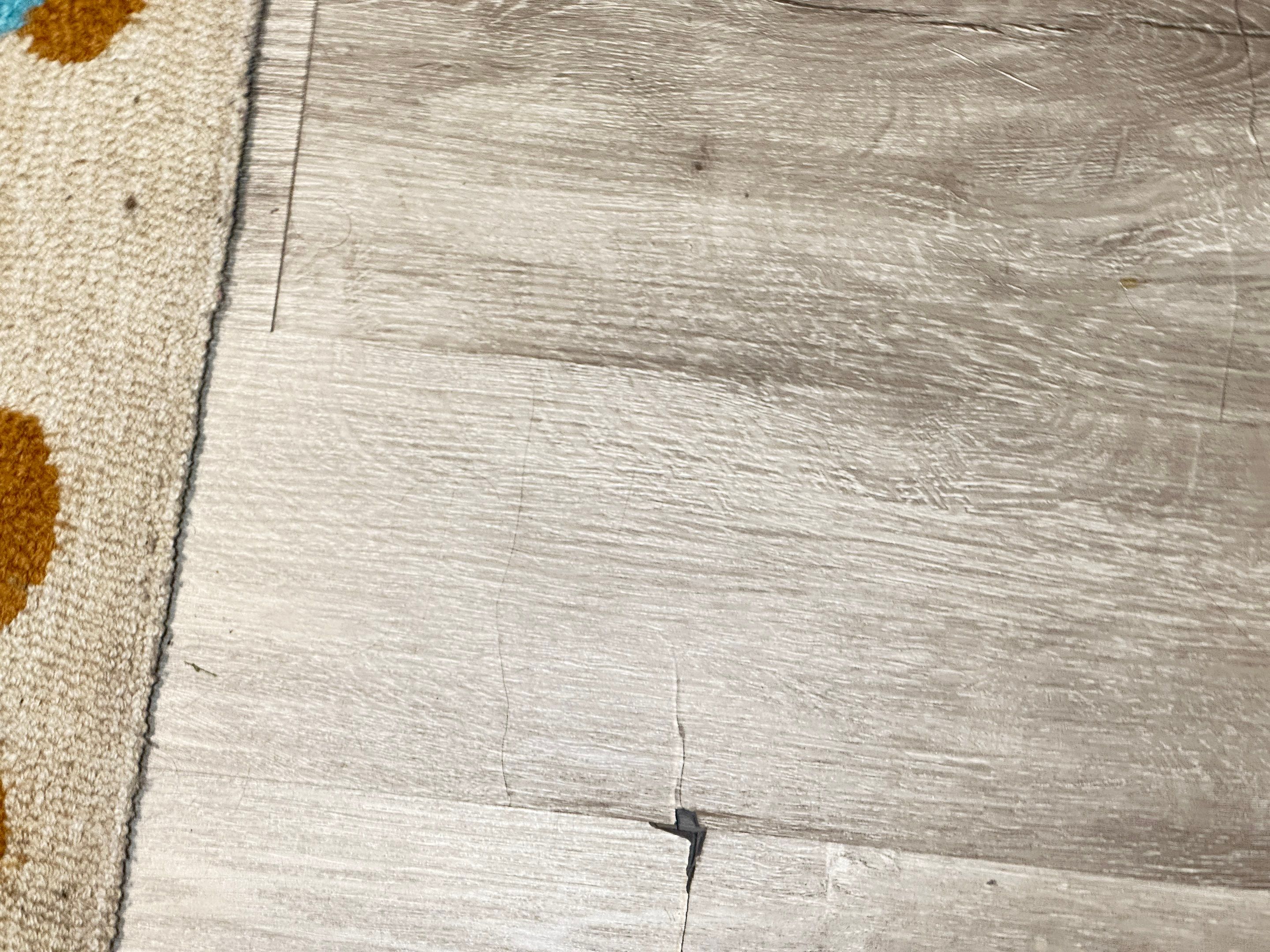Water Damage Claim in Riverview by FLAPA & KeyStone