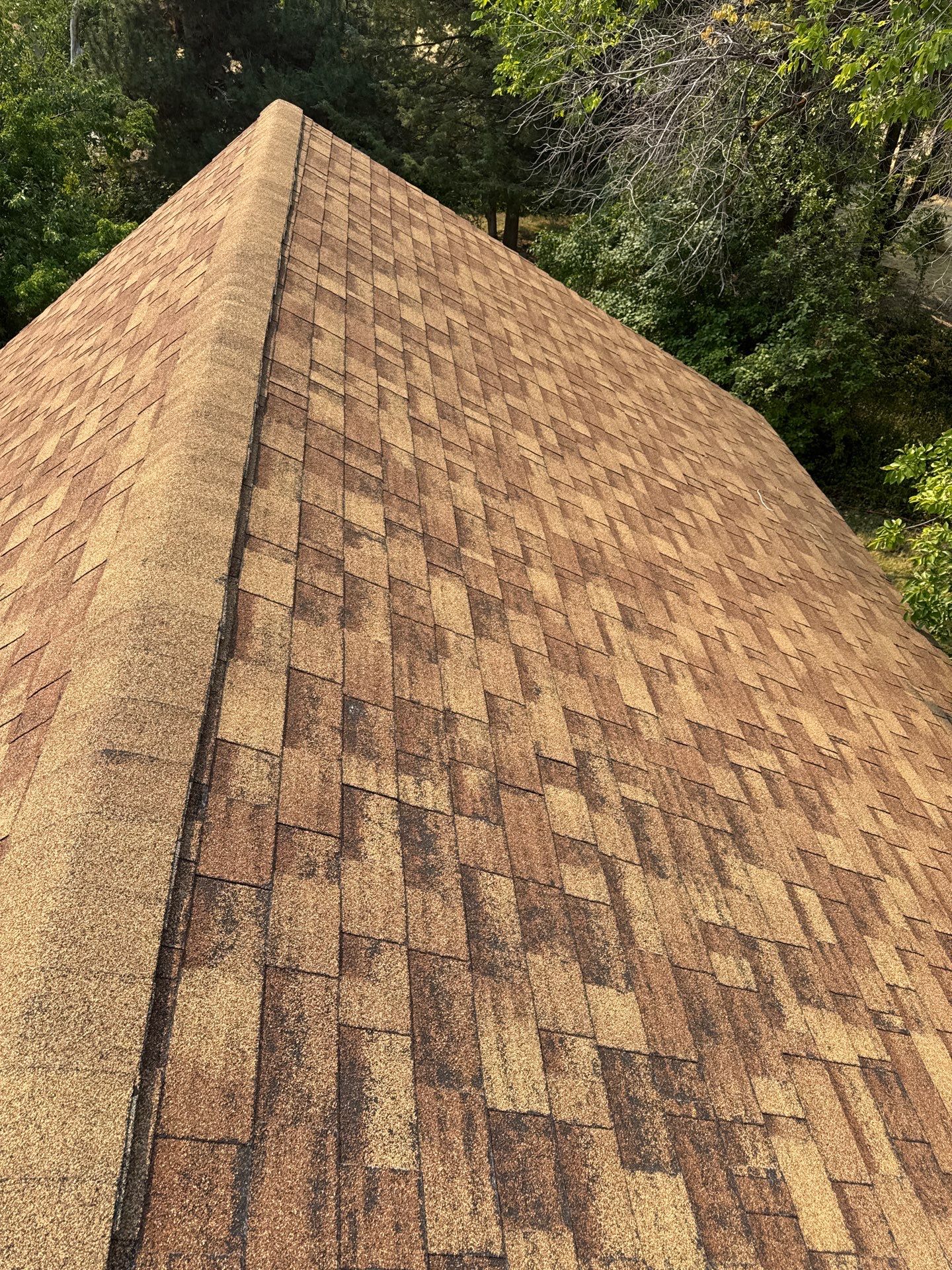 Architectural Shingle Roof Replacement for Boise Log Cabin Home by Olive Roofing