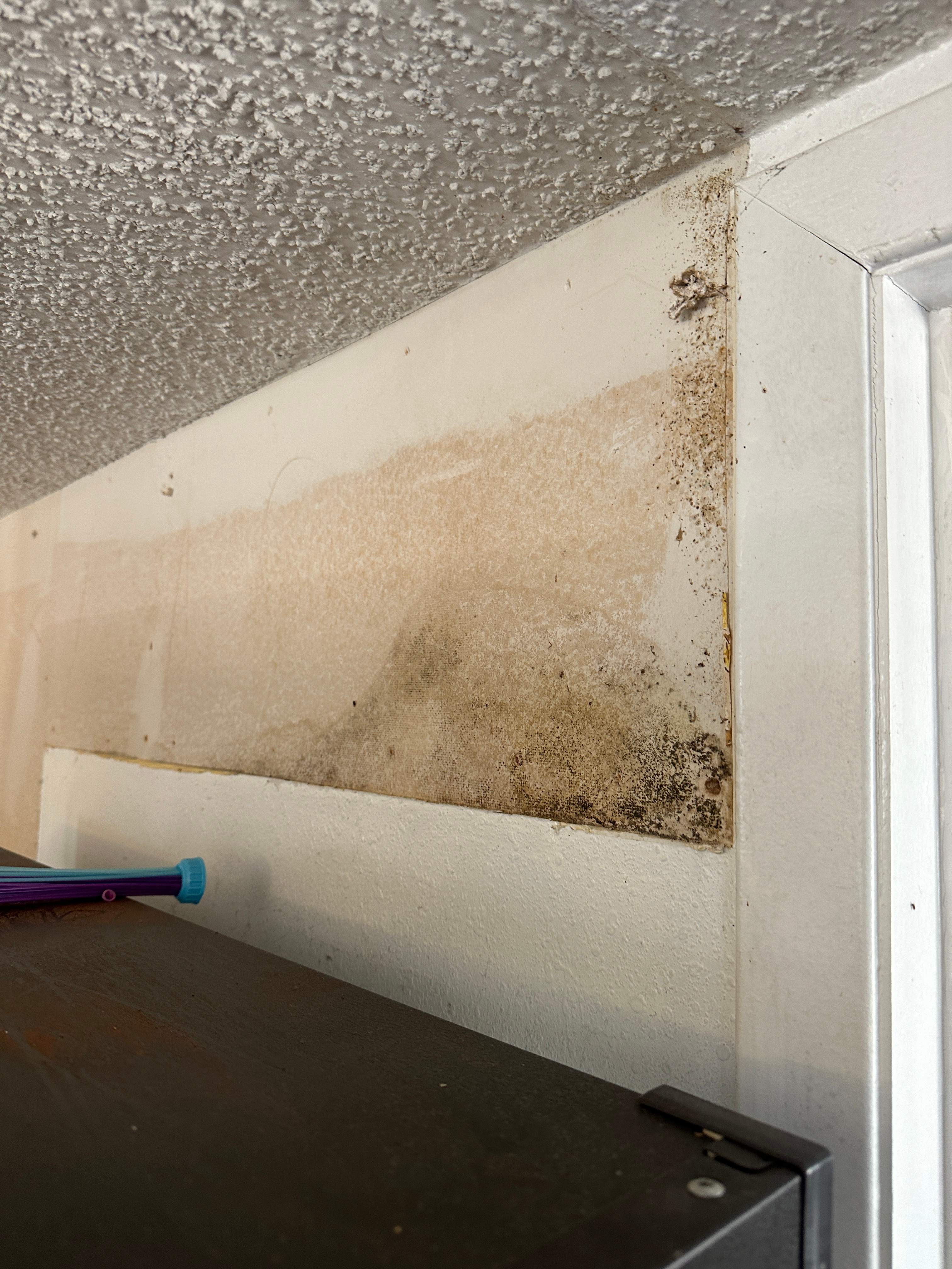 Kitchen Remodel and Water Damage Restoration in San Antonio by Mena stone surfaces