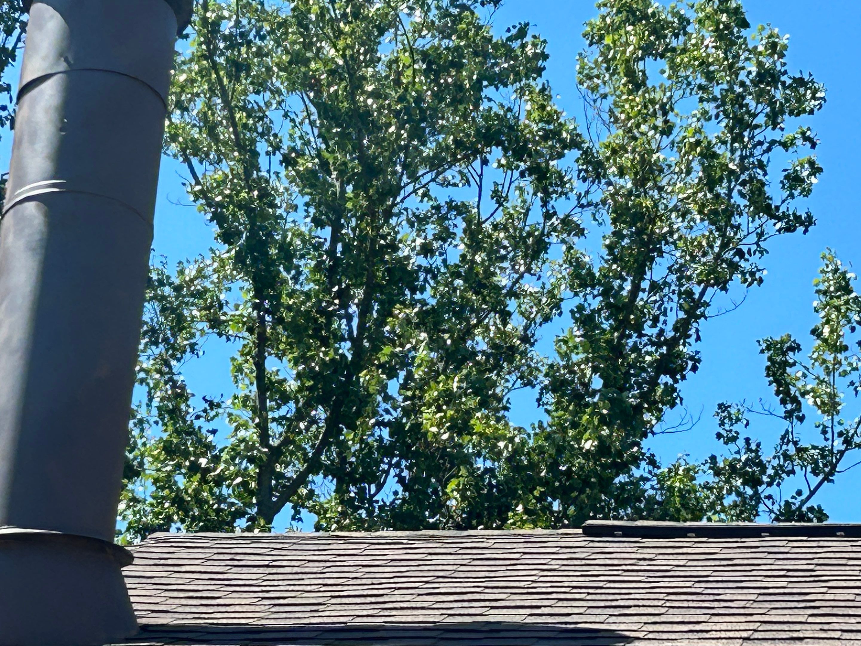 Montclair: Roof Installation with CertainTeed Landmark Designer Shingles in Burnt Sienna by RM Banning, Inc.