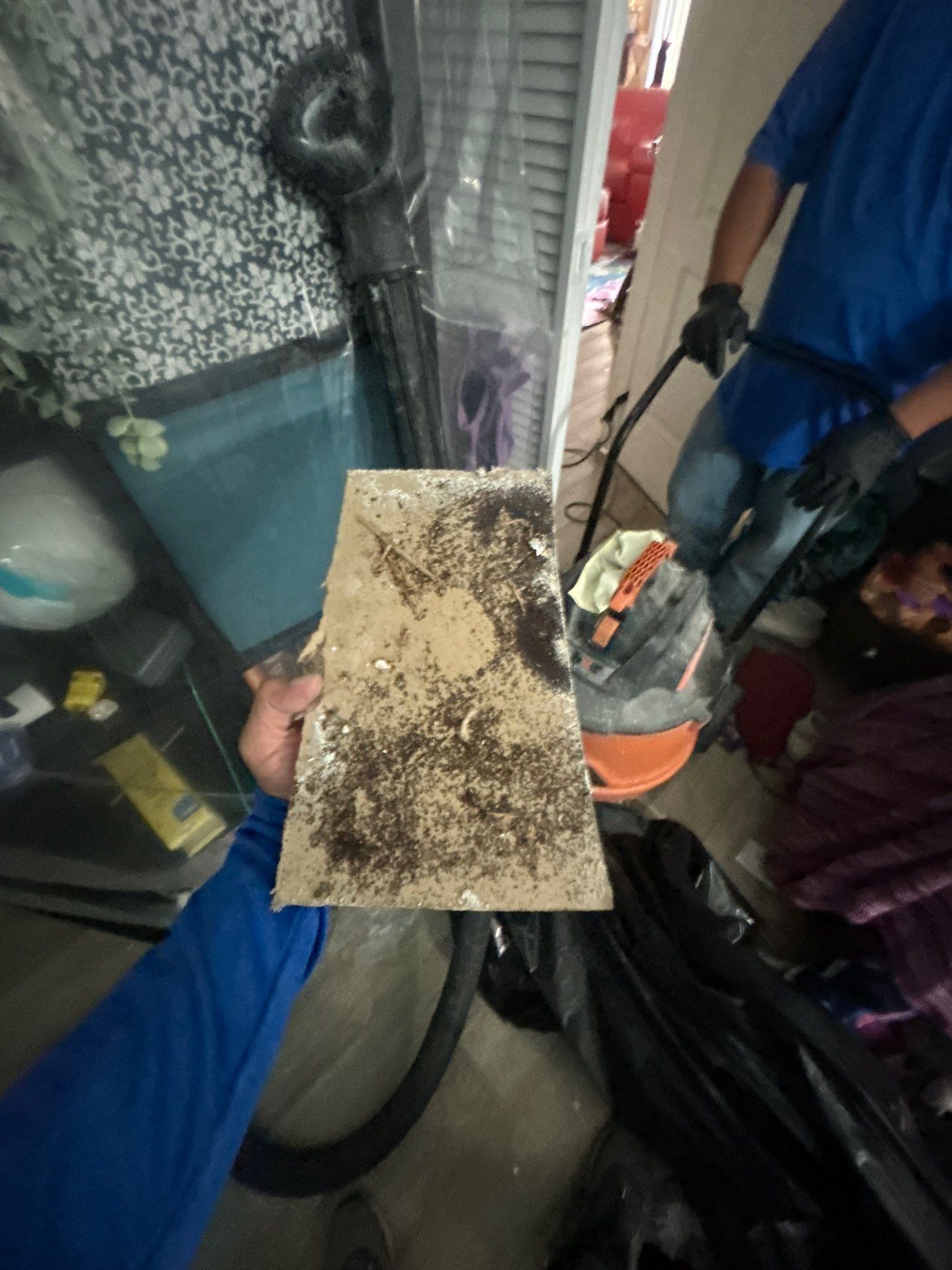 Water Damage & Mold Removal  by Ampm Restoration Services 