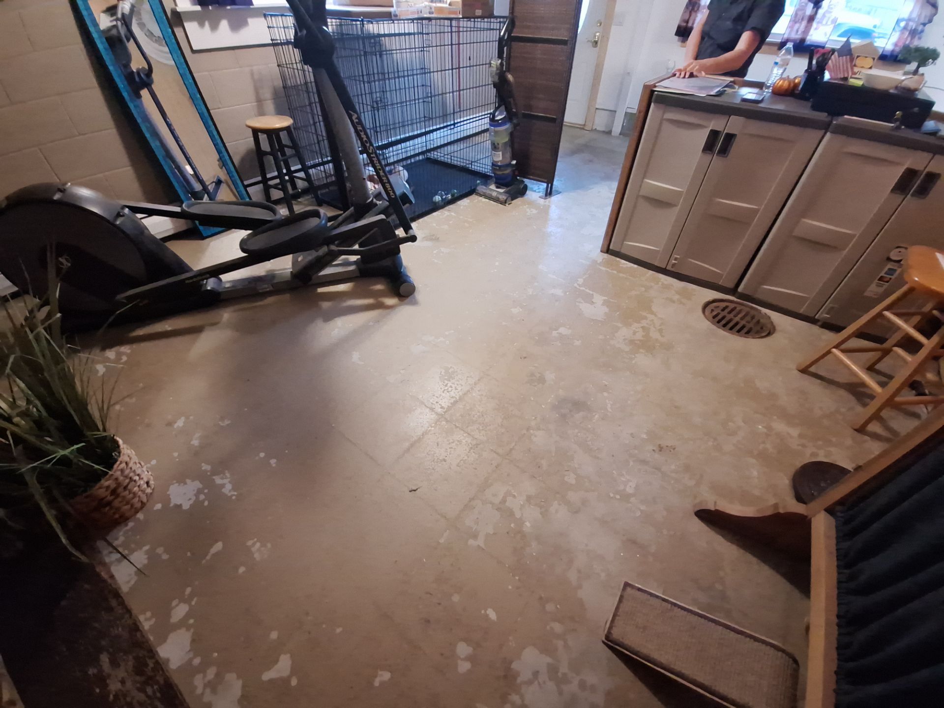 Durable Epoxy Flake Floor for Dog Grooming Studio – Norton Shores, MI by Gordon Painting