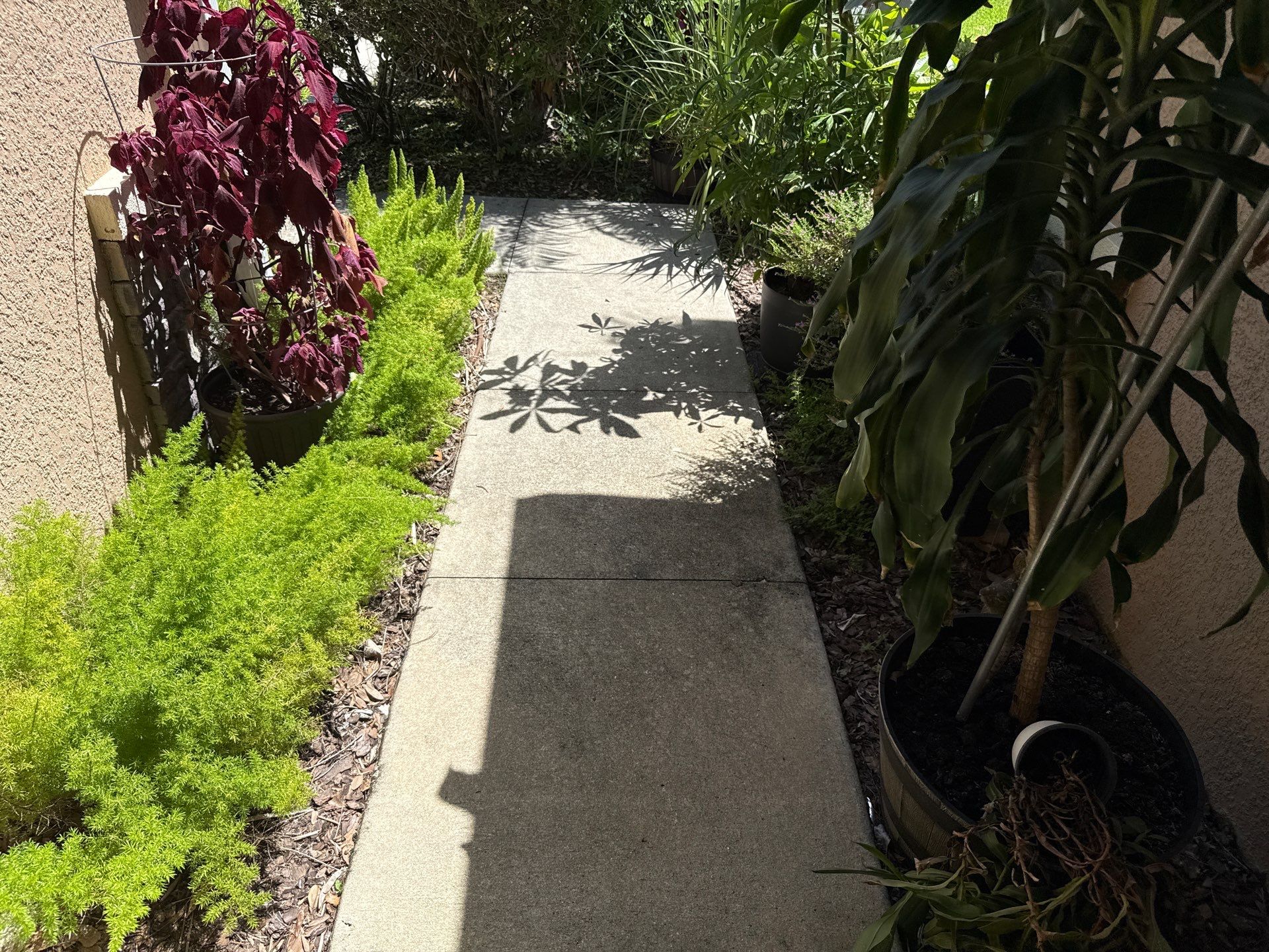 Concrete Driveway Cleaning – Covered Bridge Estates, Ellenton, FL by Sunshine AquaWash