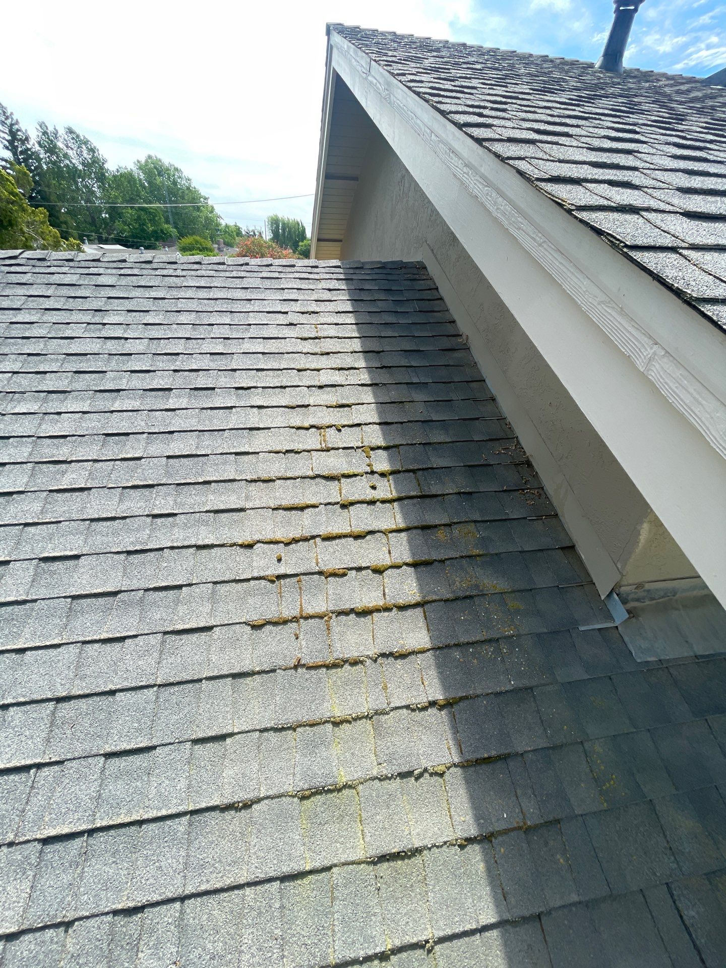 Roof Rejuvenation using Roof Maxx Treatment by Roof Maxx of Folsom