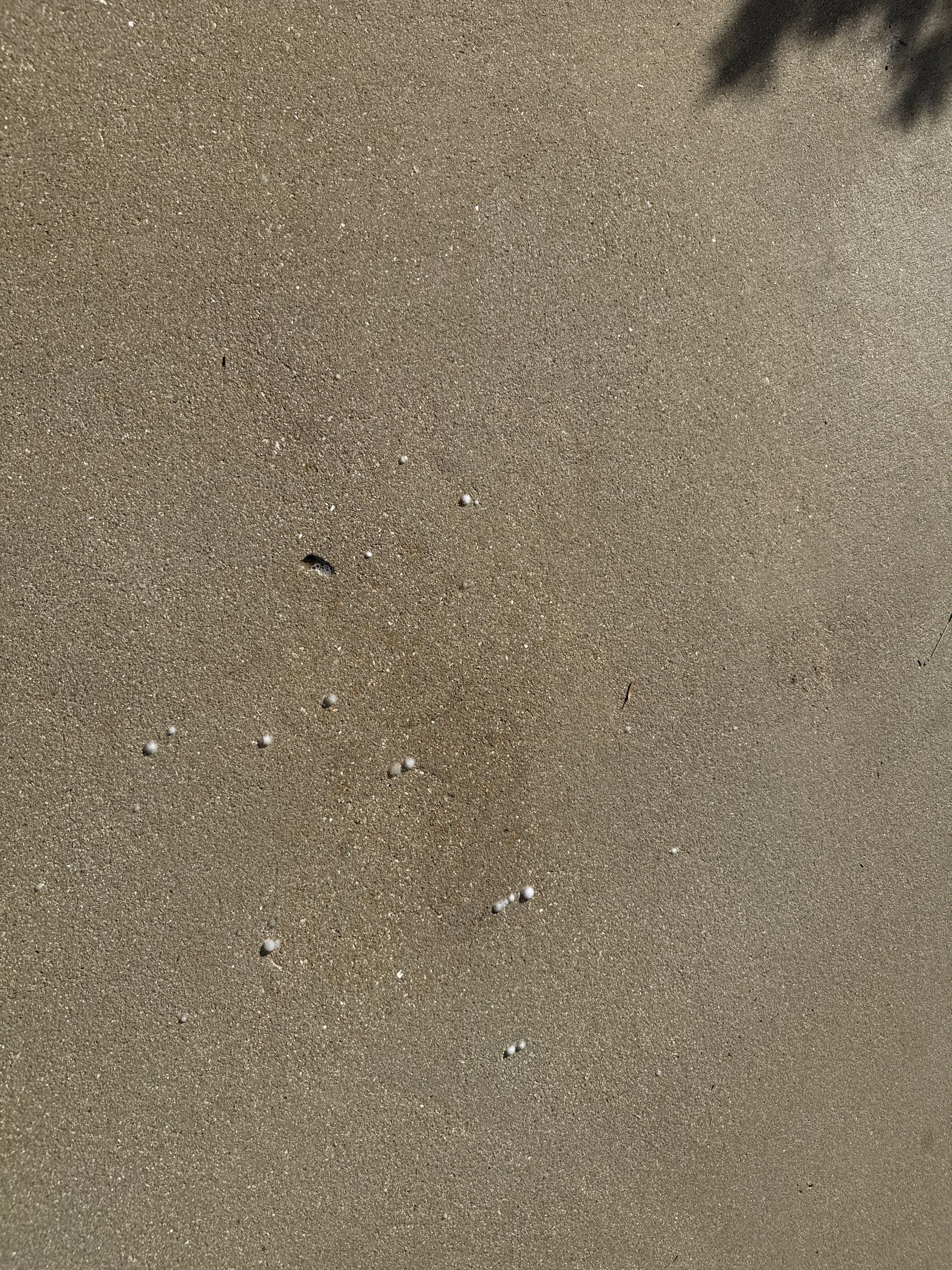 Oil Stain Removal & Concrete Cleaning – The Heights Community, Bradenton, FL by Sunshine AquaWash