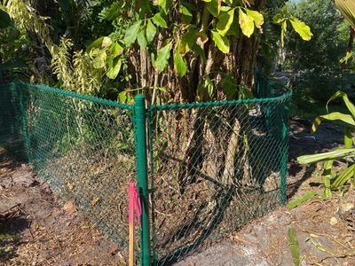 Siesta Key, FL 4ft. Tall Green Chain-link Fence