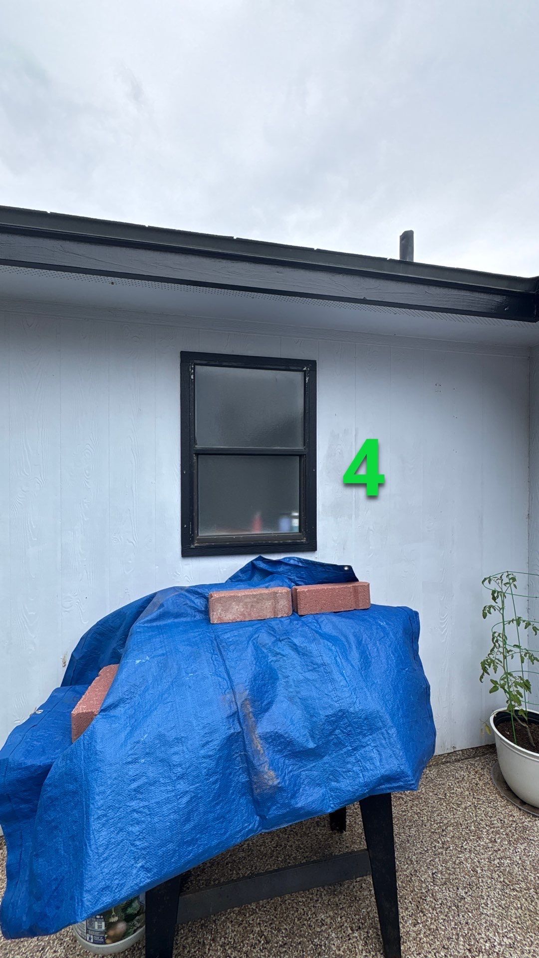 Windows on Quebec  by Bayfront Roofing and Construction