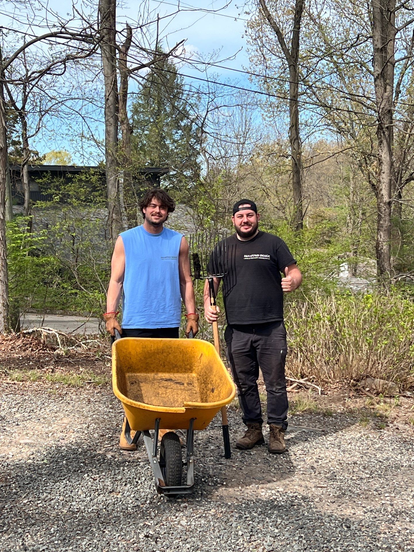 Complete Residential Spring Cleanup and Shrub Pruning in New Haven by Diamond Image LLC