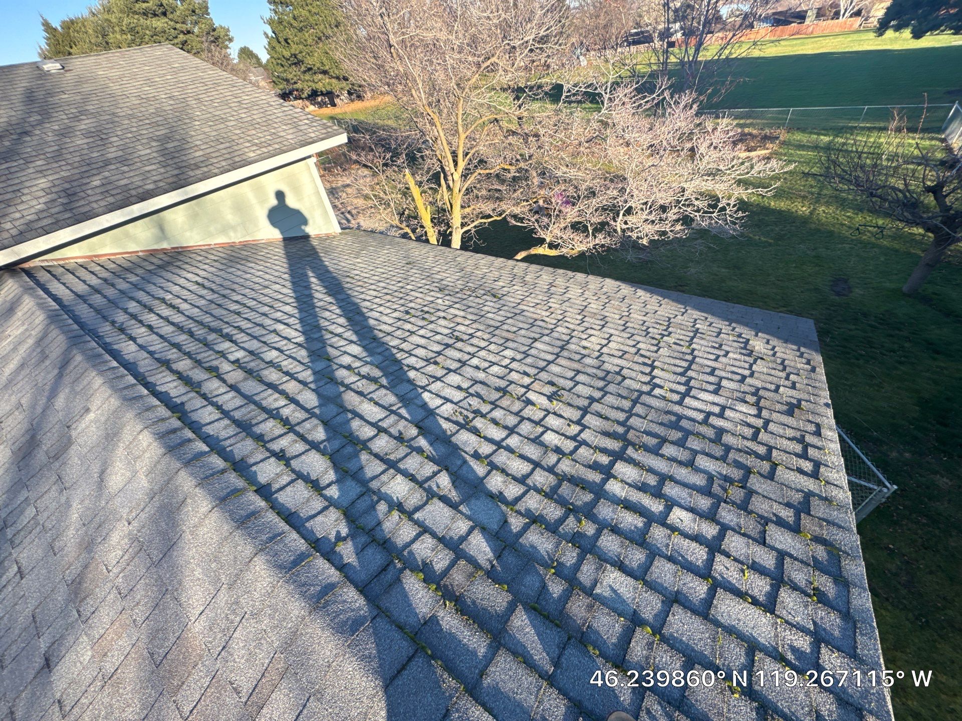 Richland Residential Roof Replacement and Plywood Decking Repair by Alpine Roofing