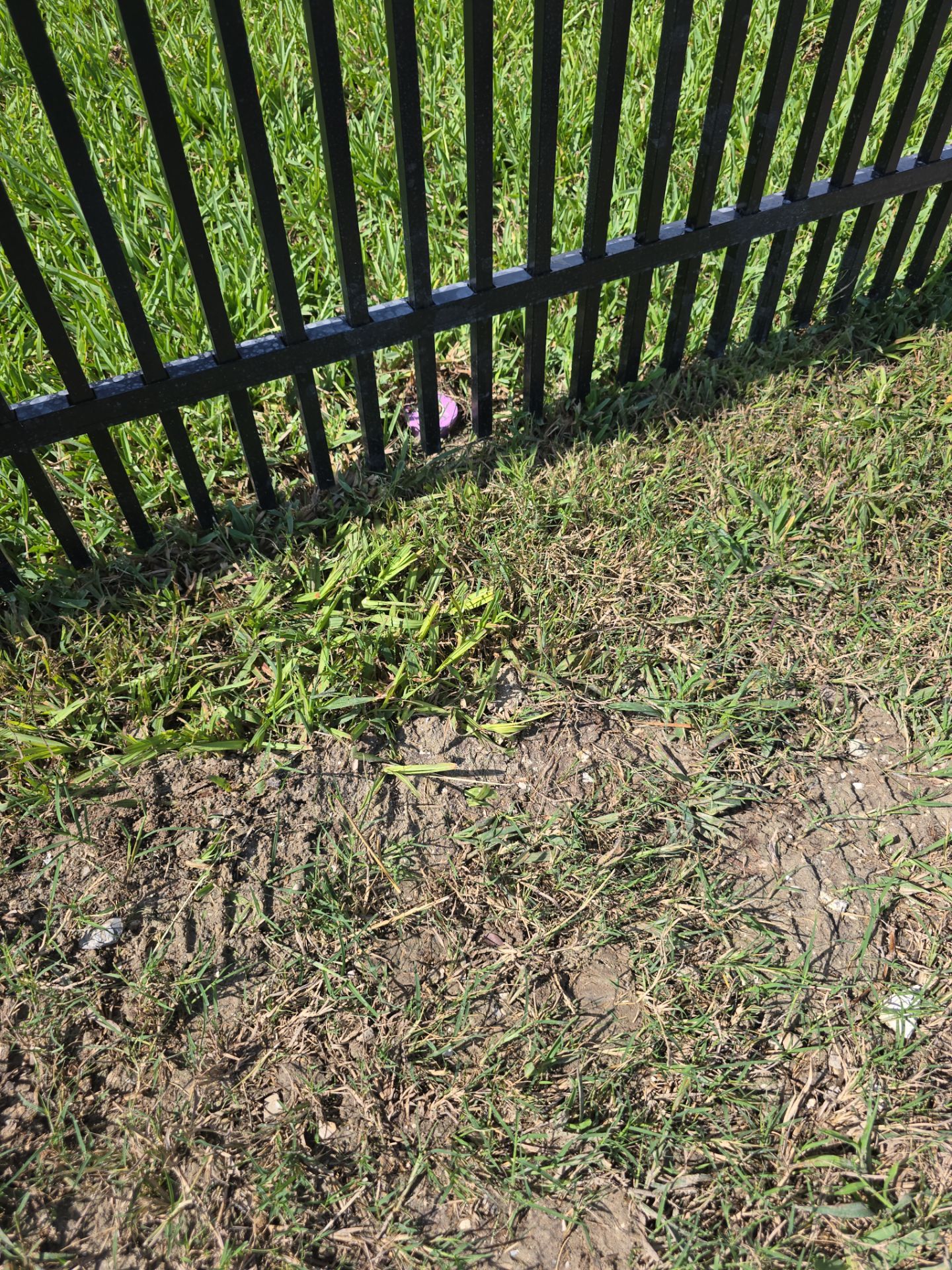 Puppy Picket Aluminum in Venice by True Fence LLC