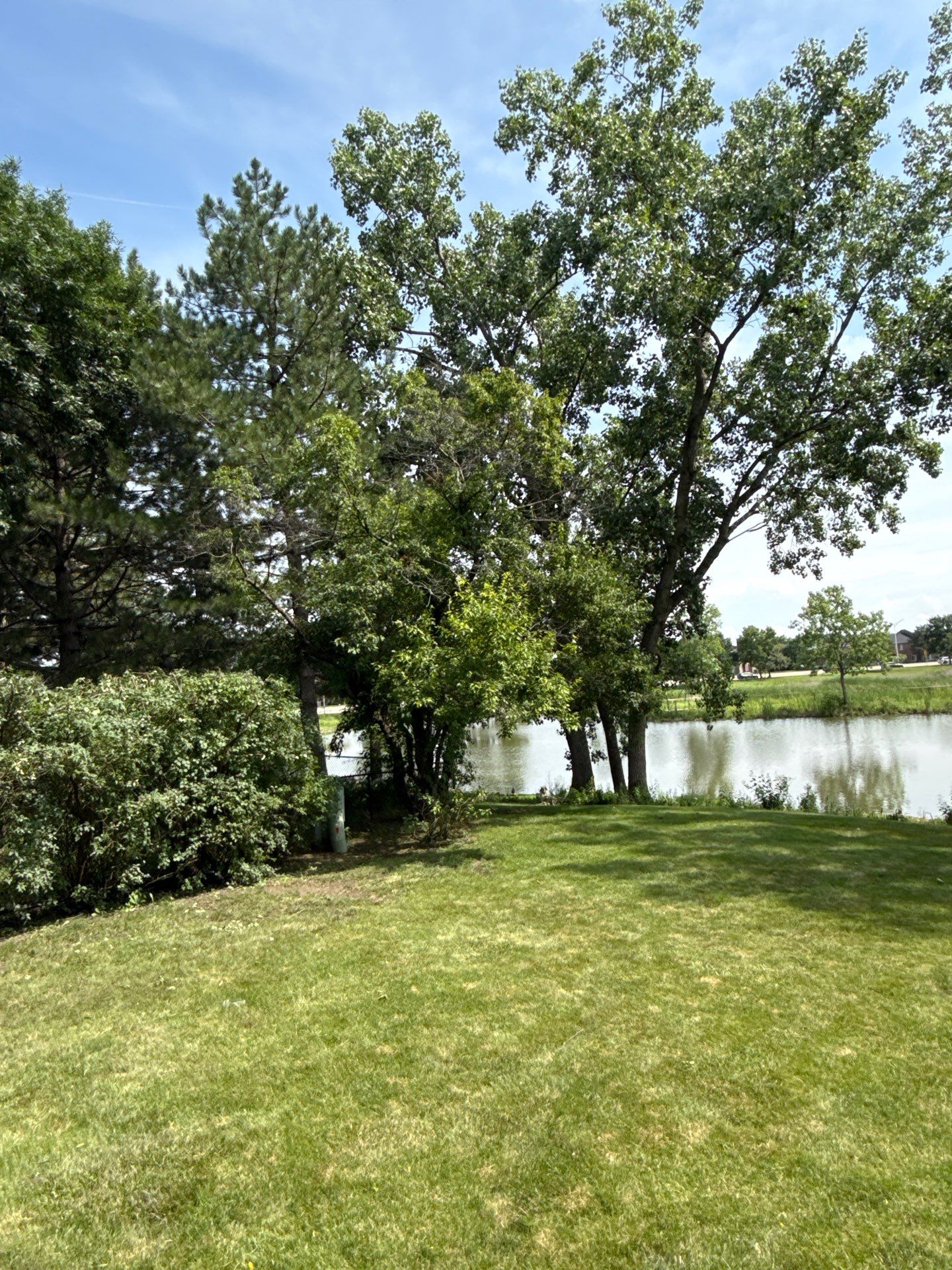 Alicia S. - Arlington Heights, IL by A&N