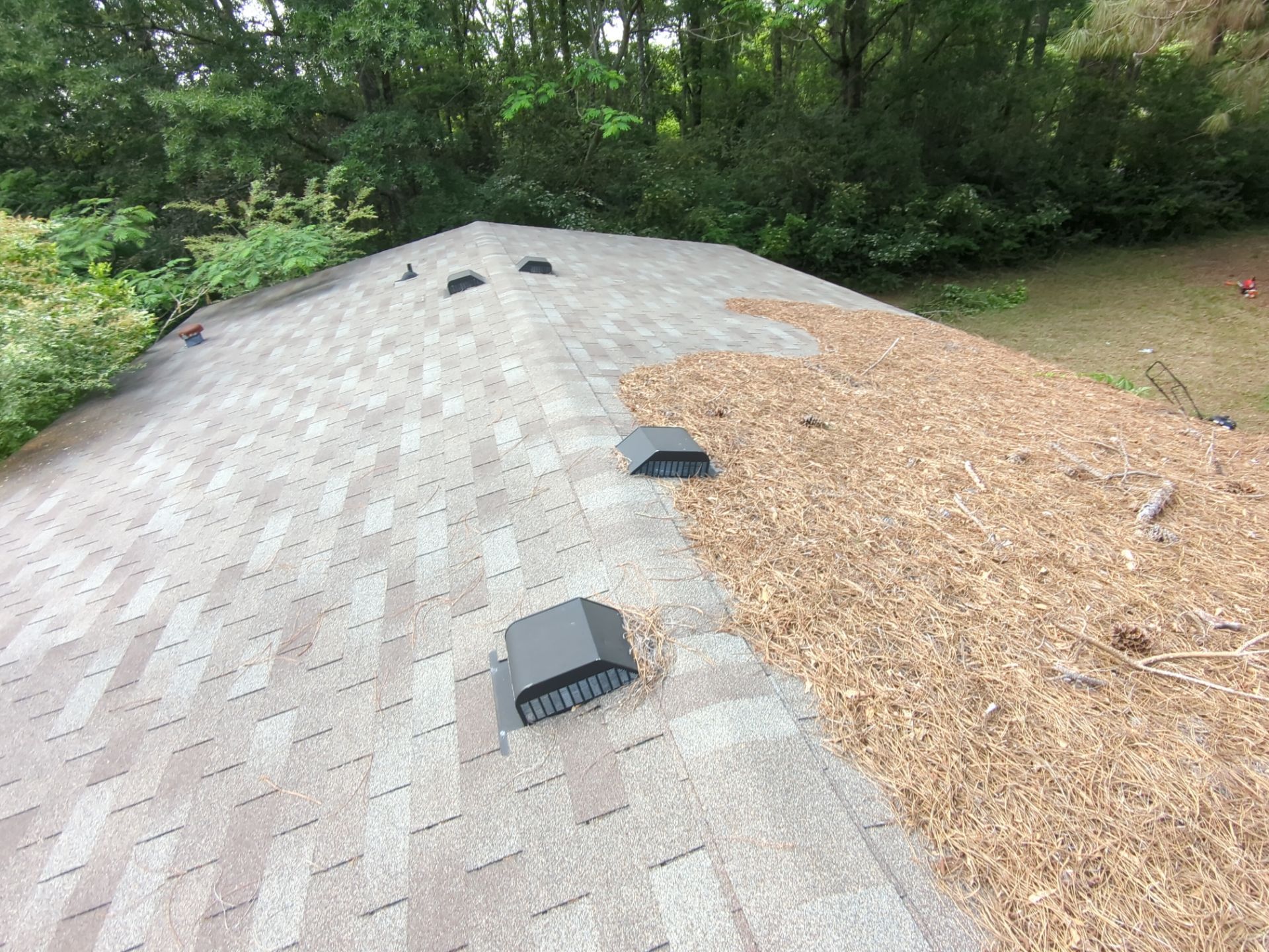 Exterior Clearing - tree trimming - grass cut by Swift Signings and Services LLC