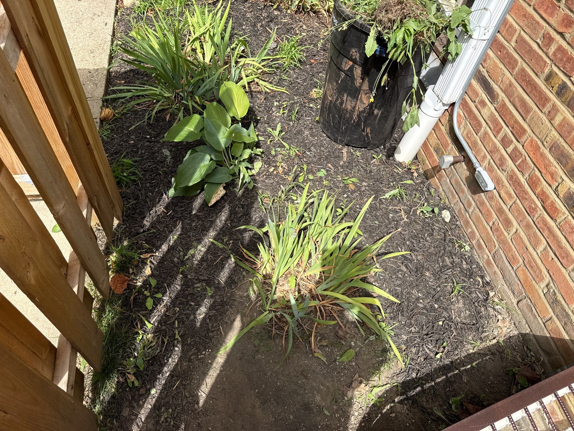 Michele P. - Mount Prospect, IL by A&N 
