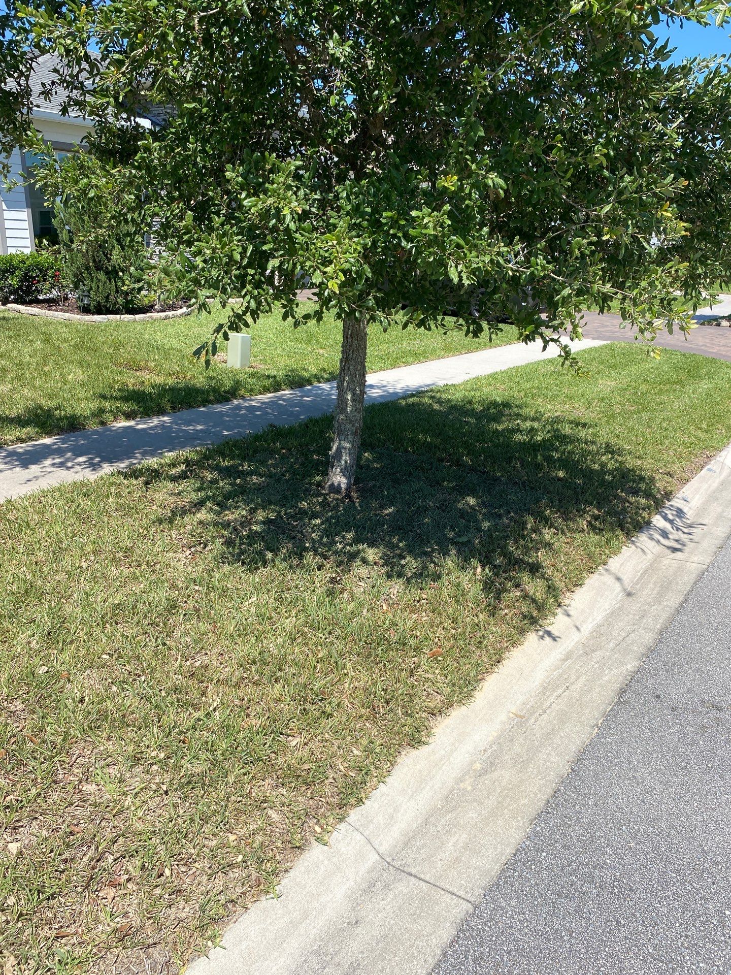 Residential | Clean-up, Sod and Rock Installation by ProGreen Services