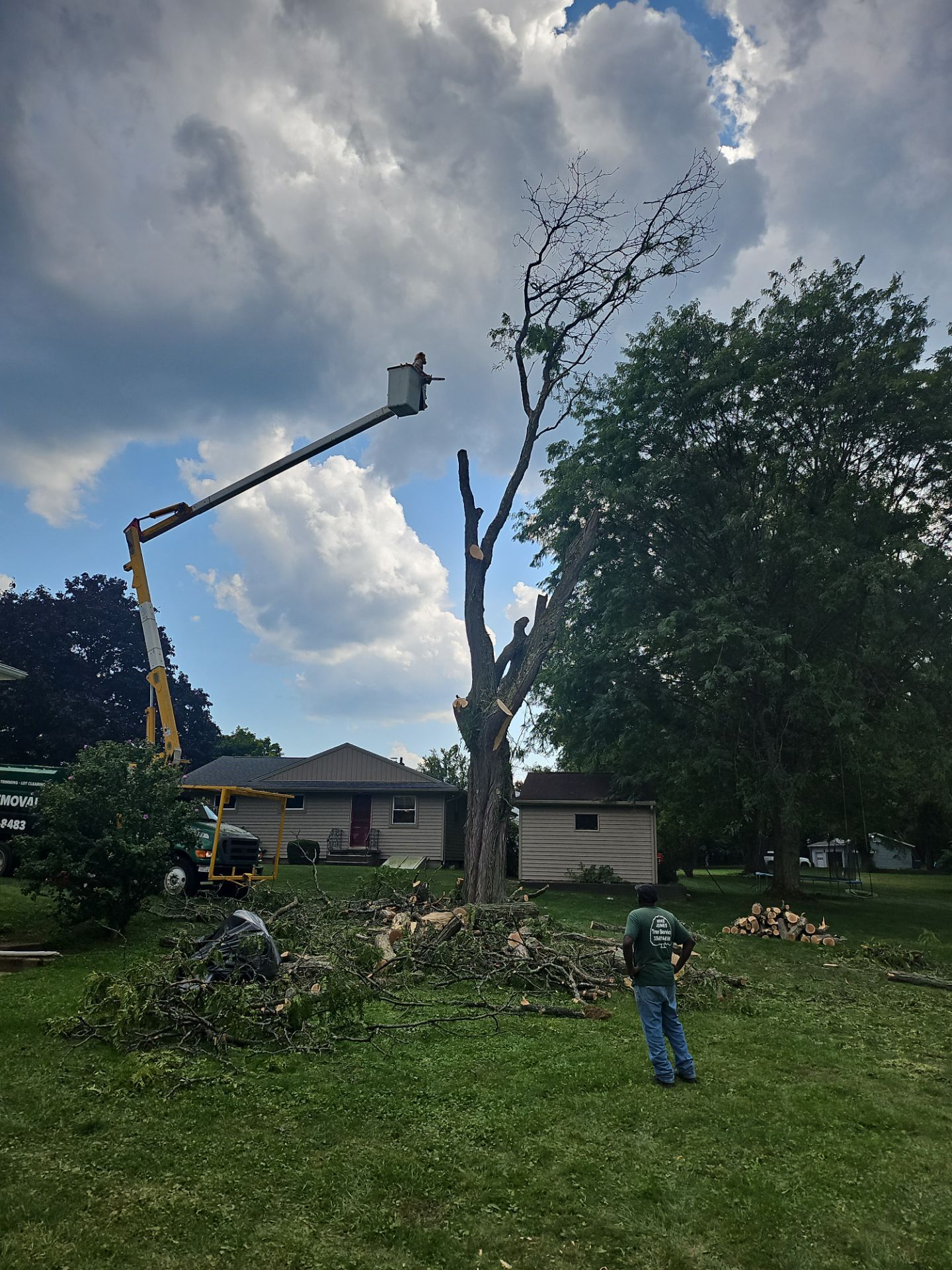 Tree Removal using Tree Removal by Mike Jones & Sons Tree Service LLC 